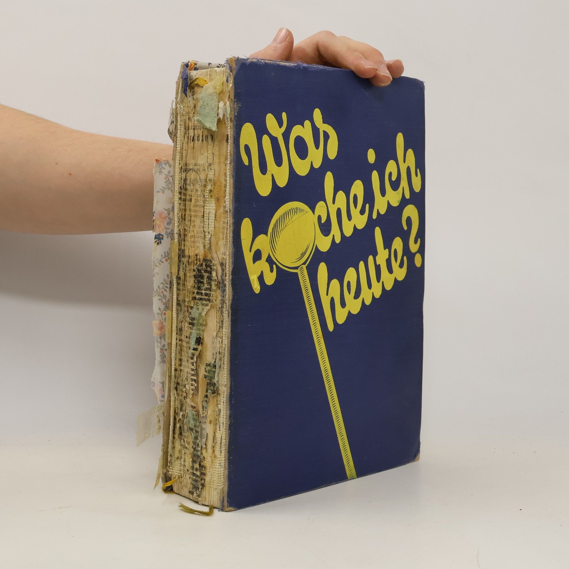 Hans Ziegenbein Was koche ich heute?