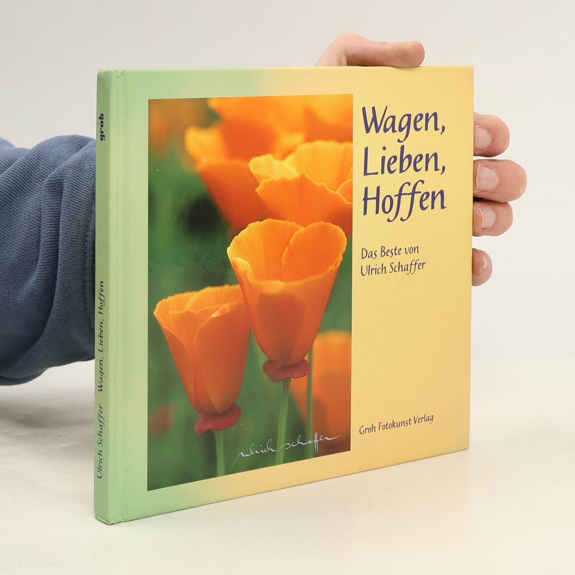 Ulrich Schaffer Wagen, Lieben, Hoffen