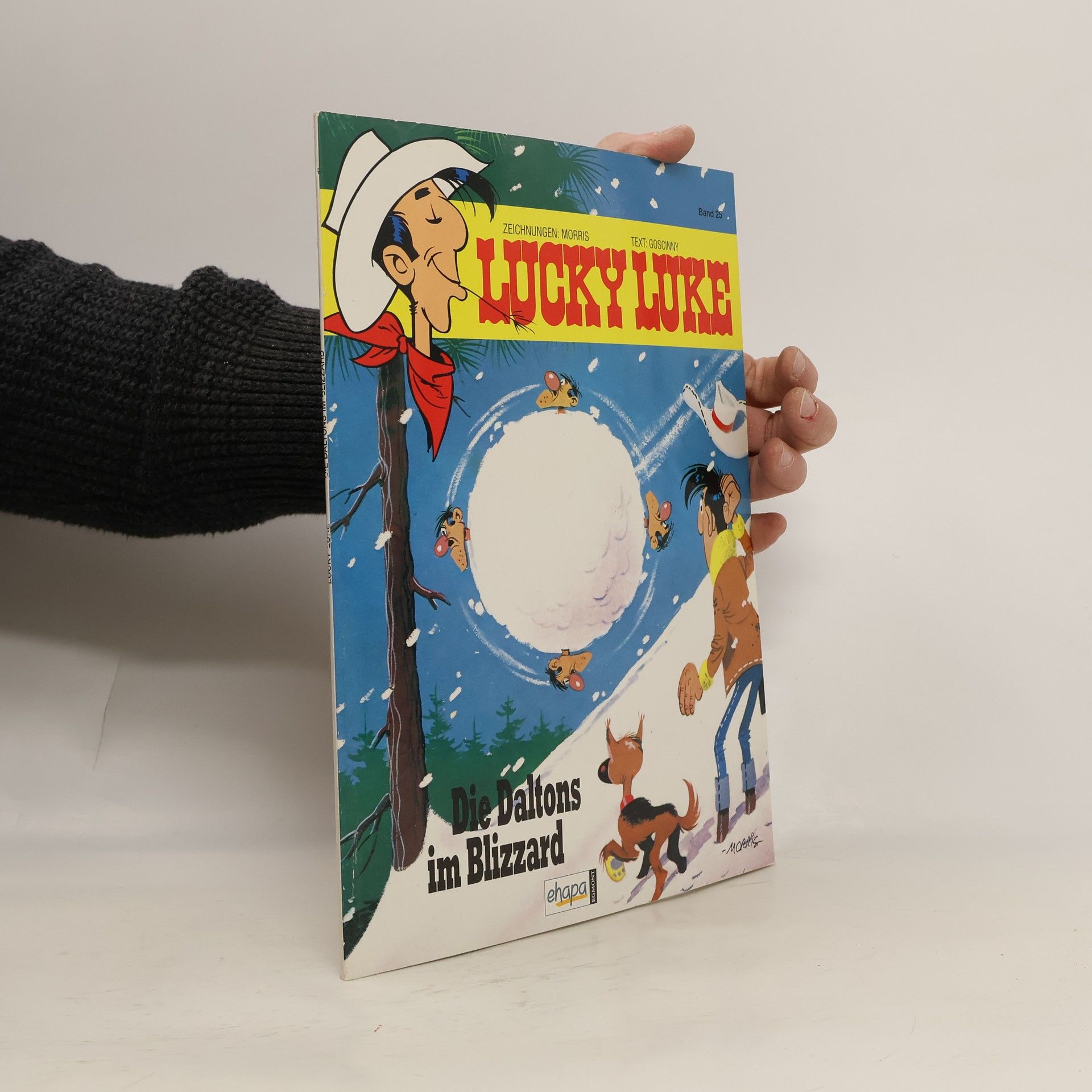 Autorenkollektiv Lucky Luke 25. Die Daltons im Blizzard