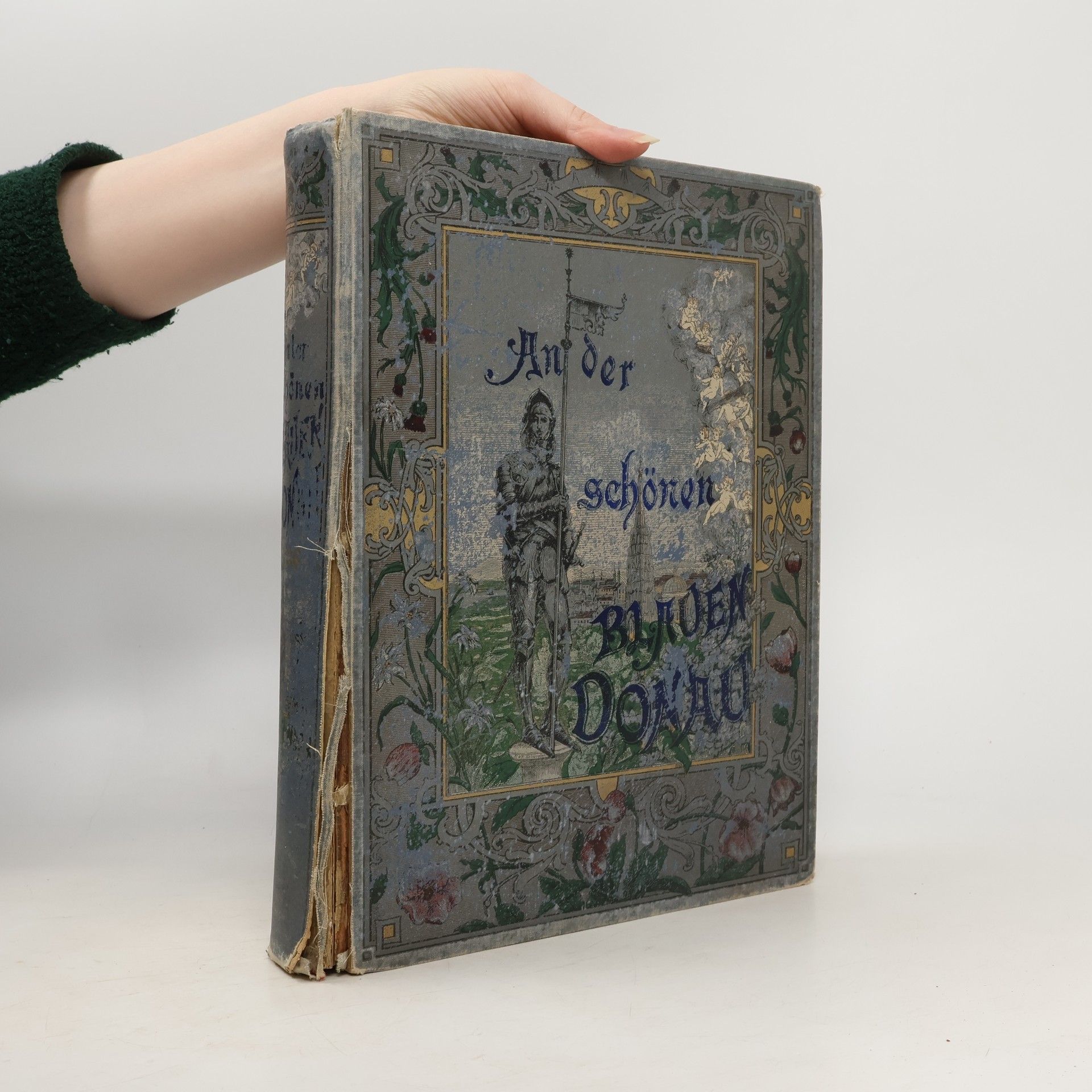 Autorenkollektiv An der Schönen Blauen Donau