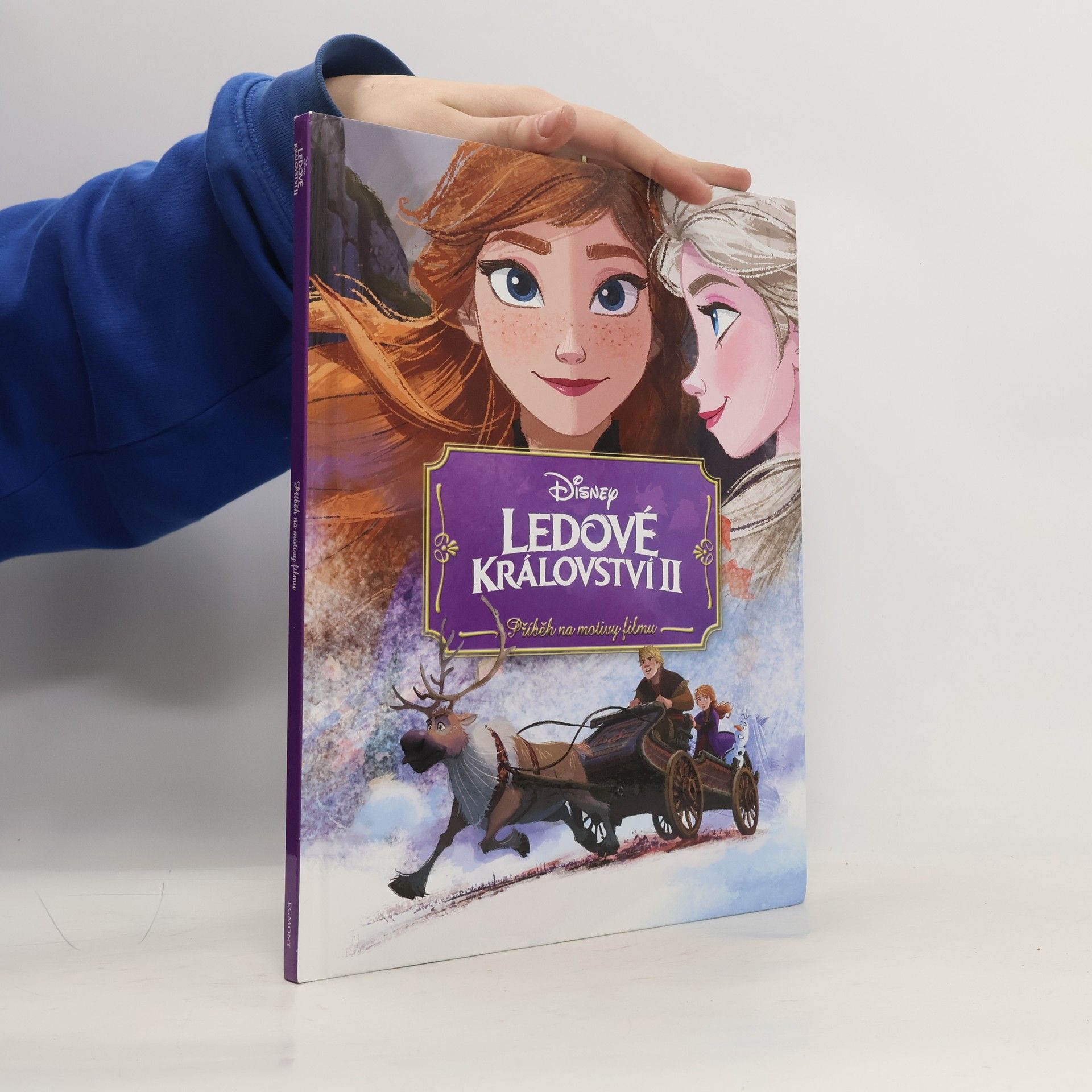 Petra Vichrová Ledové království II