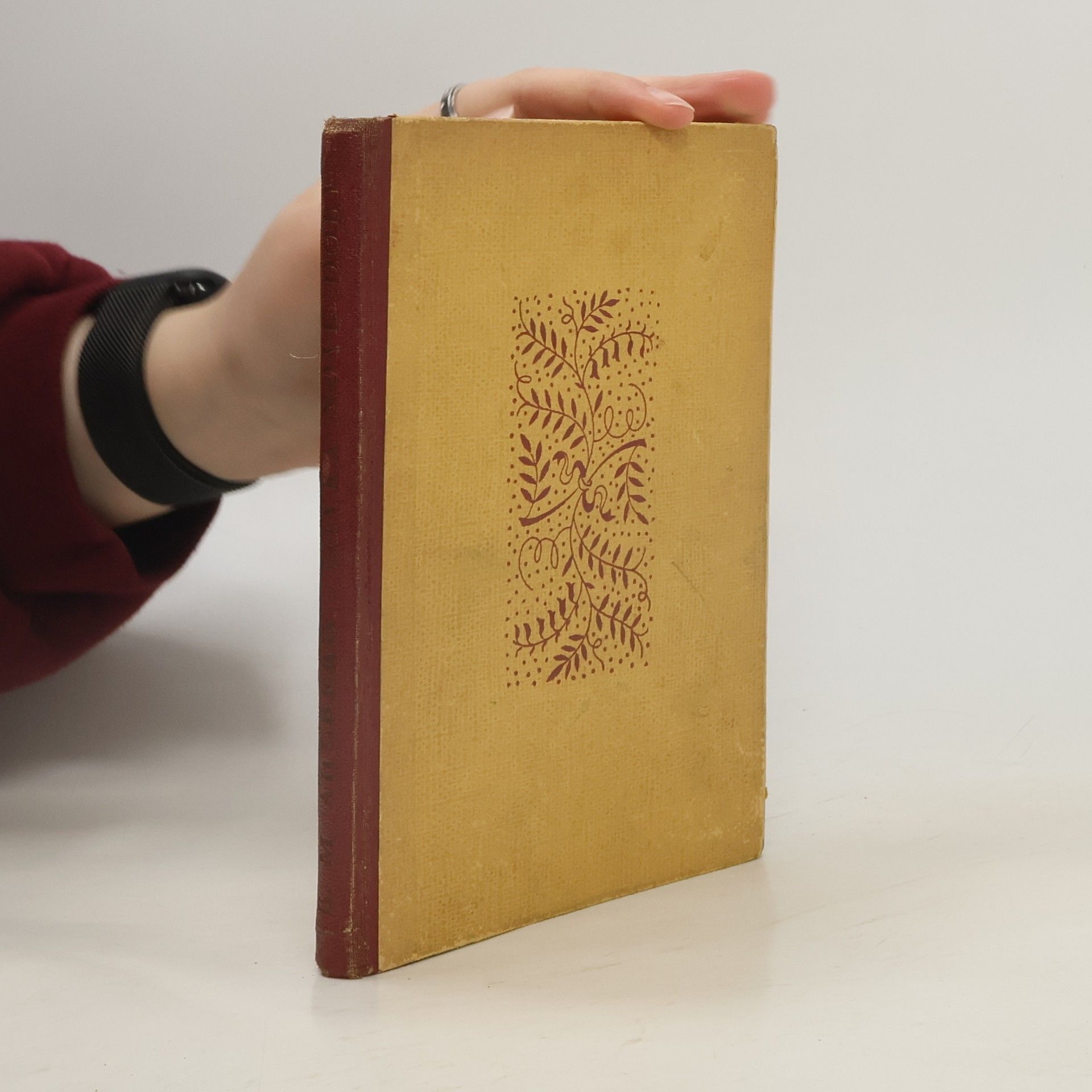 Betty Marie Ahlberg Dívka nové doby