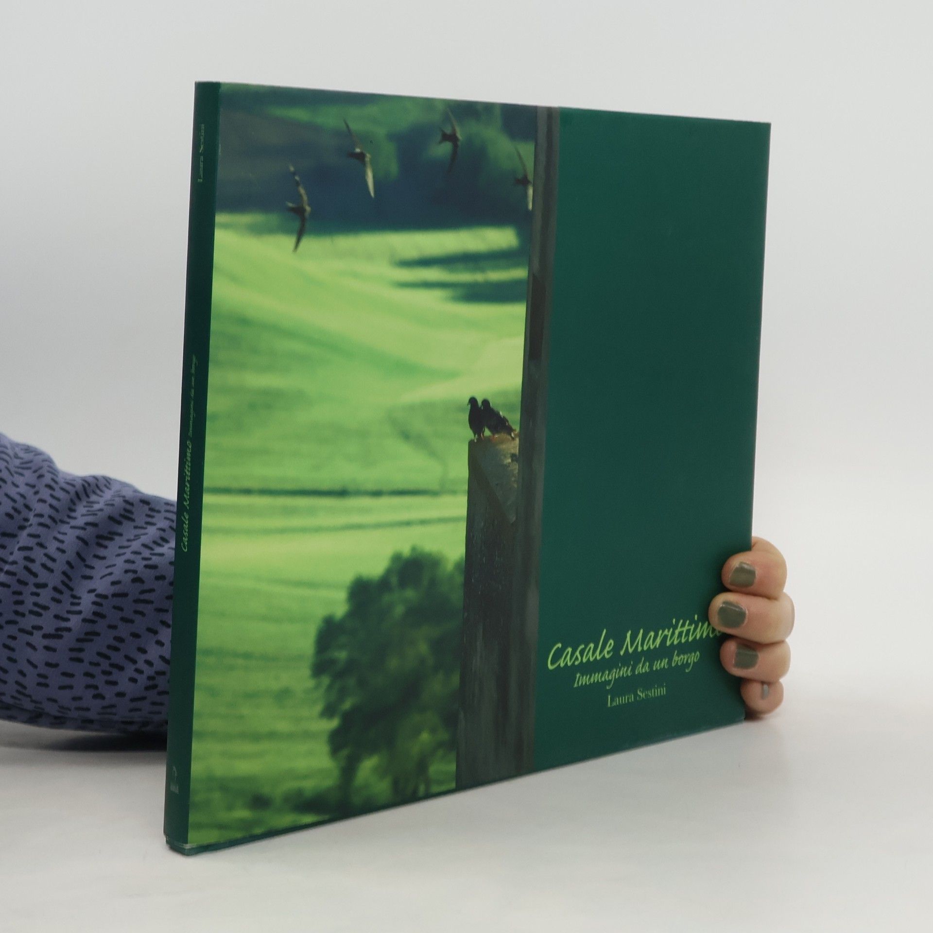 Laura Sestini Casale Marittimo. Immagini da un borgo. Ediz. italiana e inglese