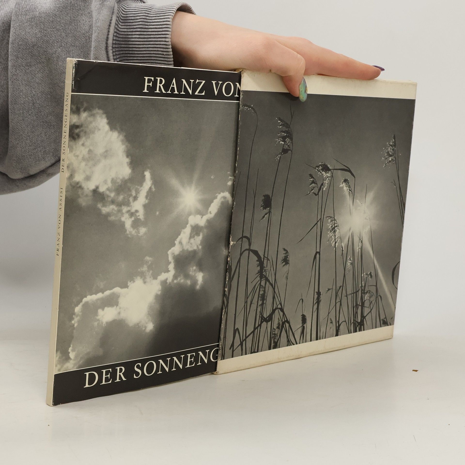 Saint Francis Der Sonnengesang