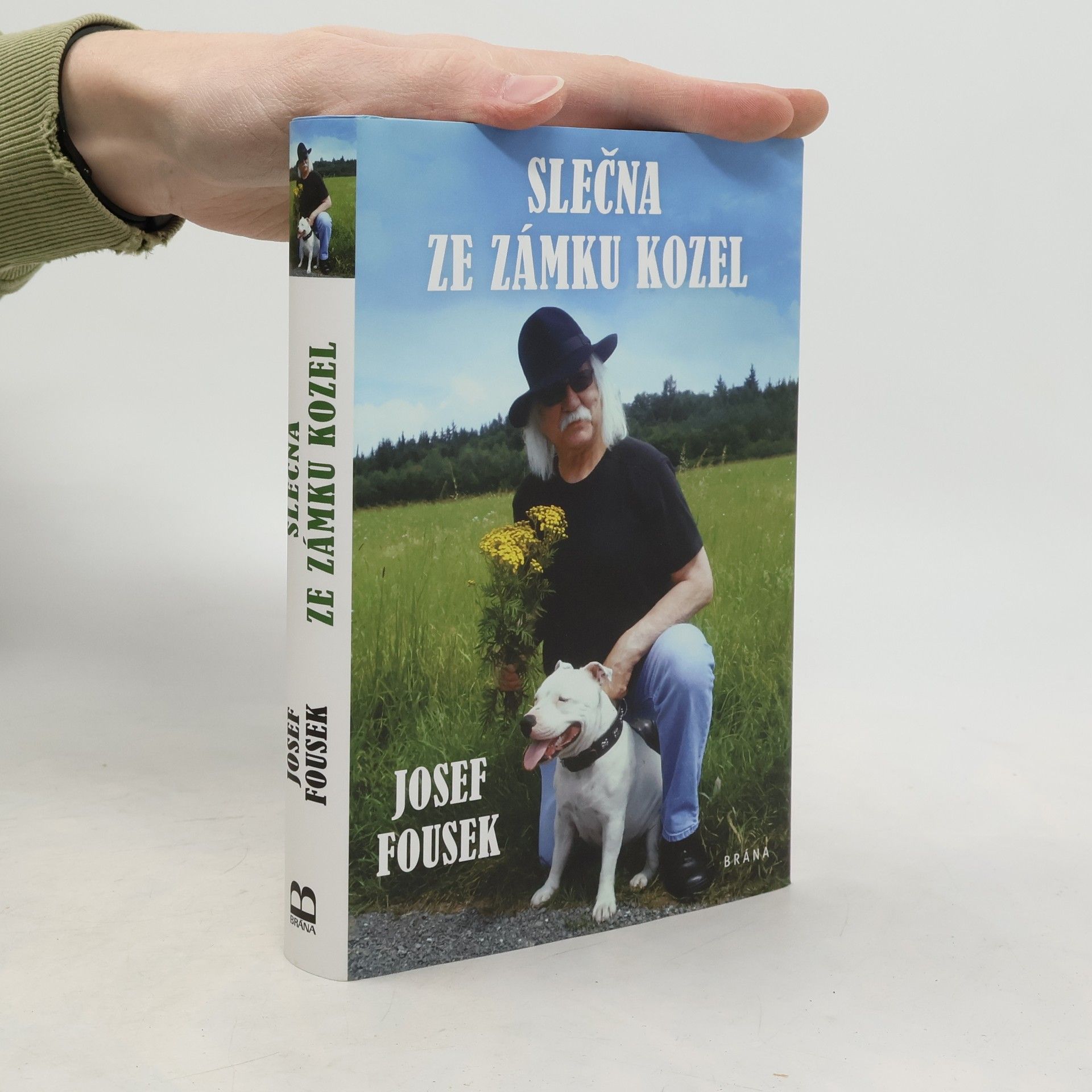 Josef Fousek Slečna ze zámku Kozel