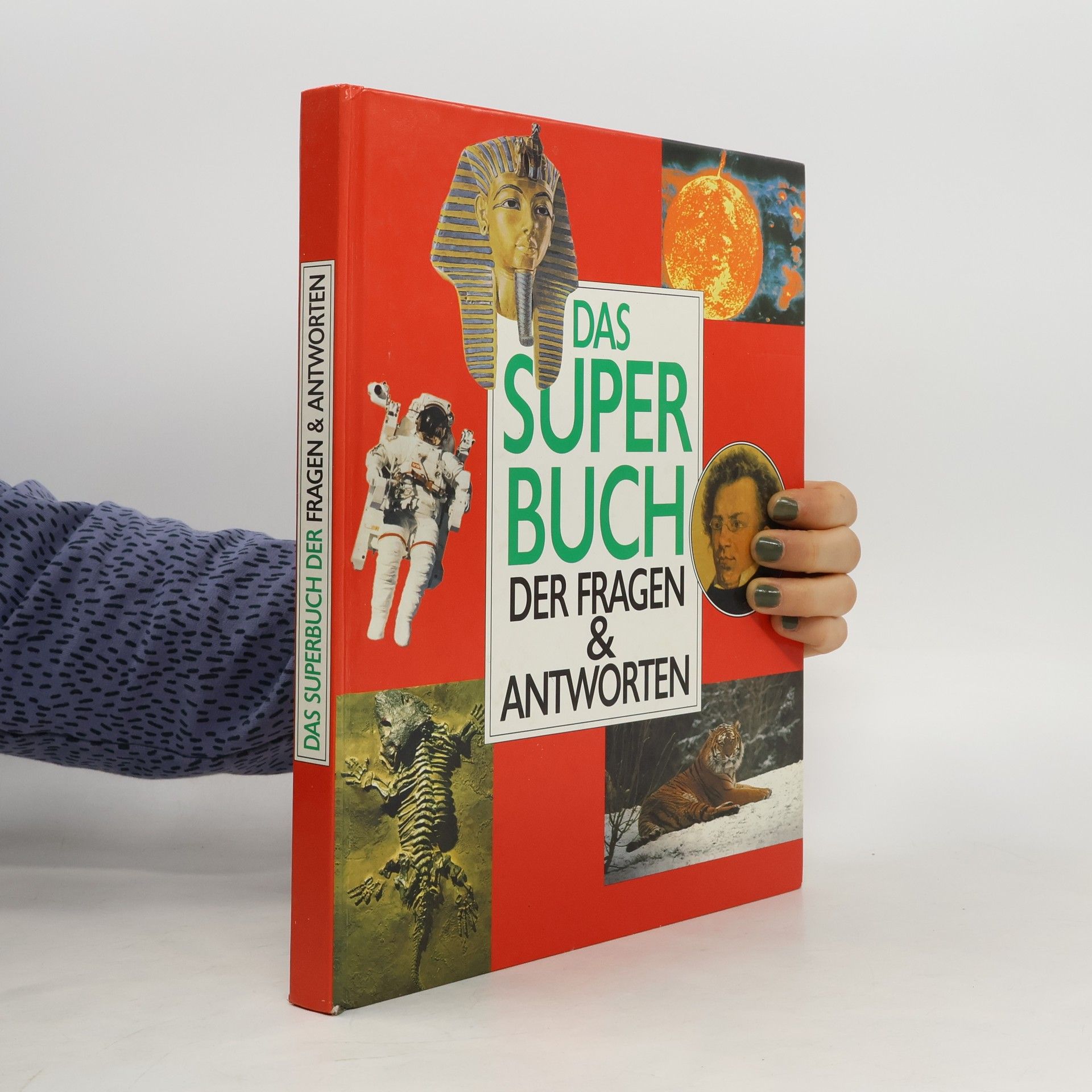 Auteurscollectief Das Superbuch der Fragen & Antworten