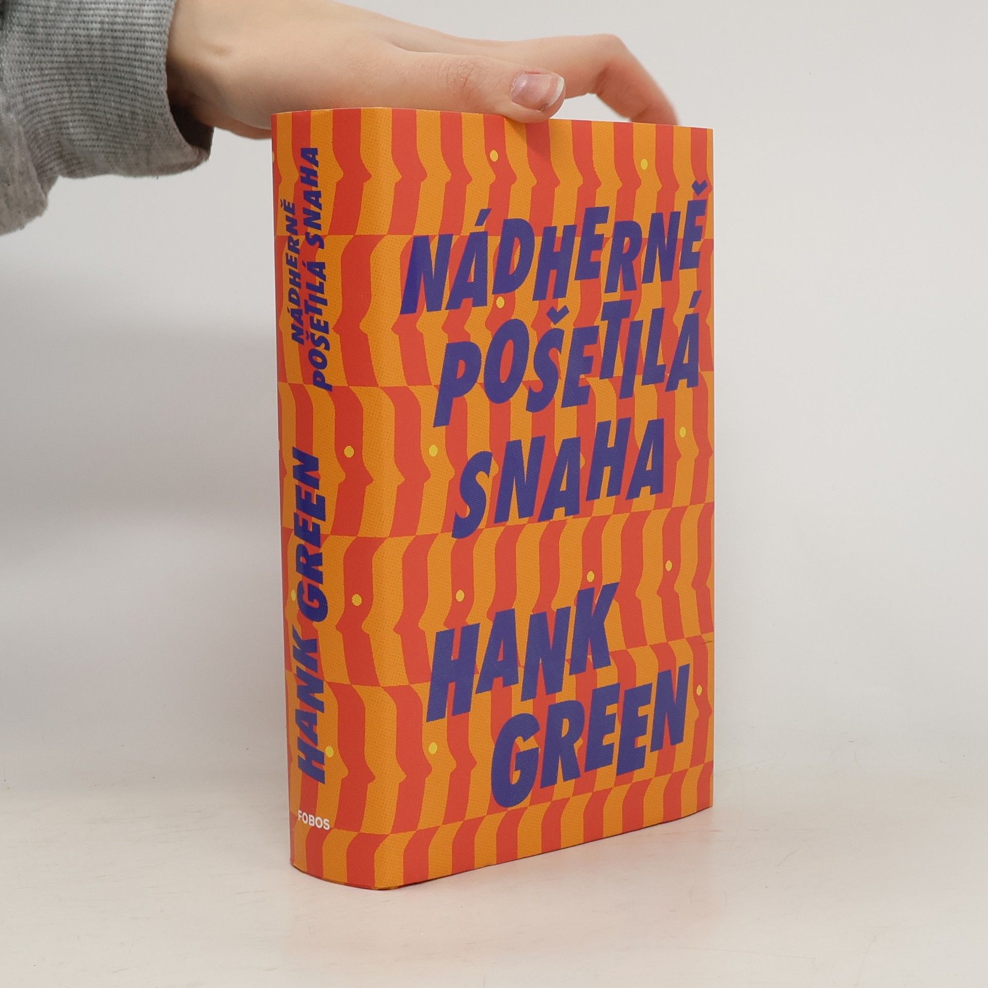 Hank Green Nádherně pošetilá snaha