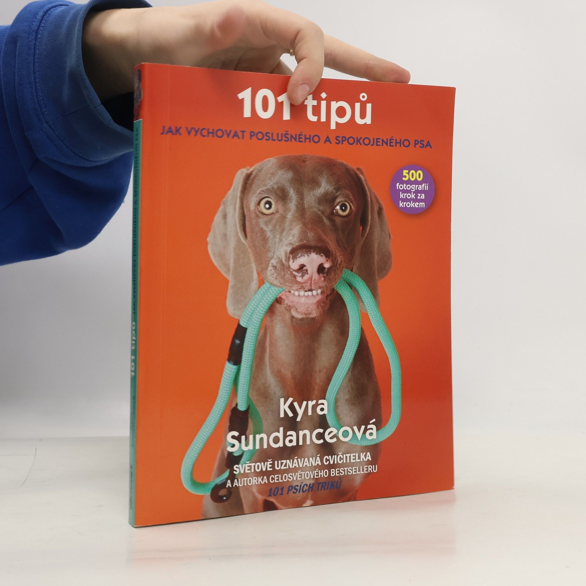 Kyra Sundance 101 tipů jak vychovat poslušného a spokojeného psa