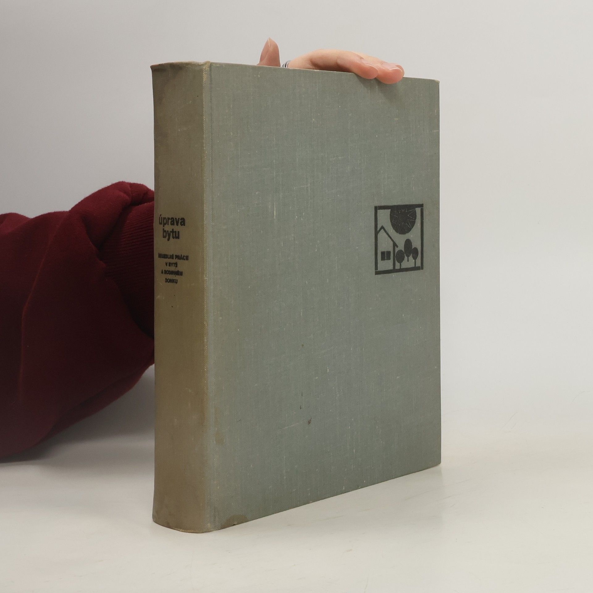 Autores varios Úprava bytu. Řemeslné práce v bytě a rodinném domku