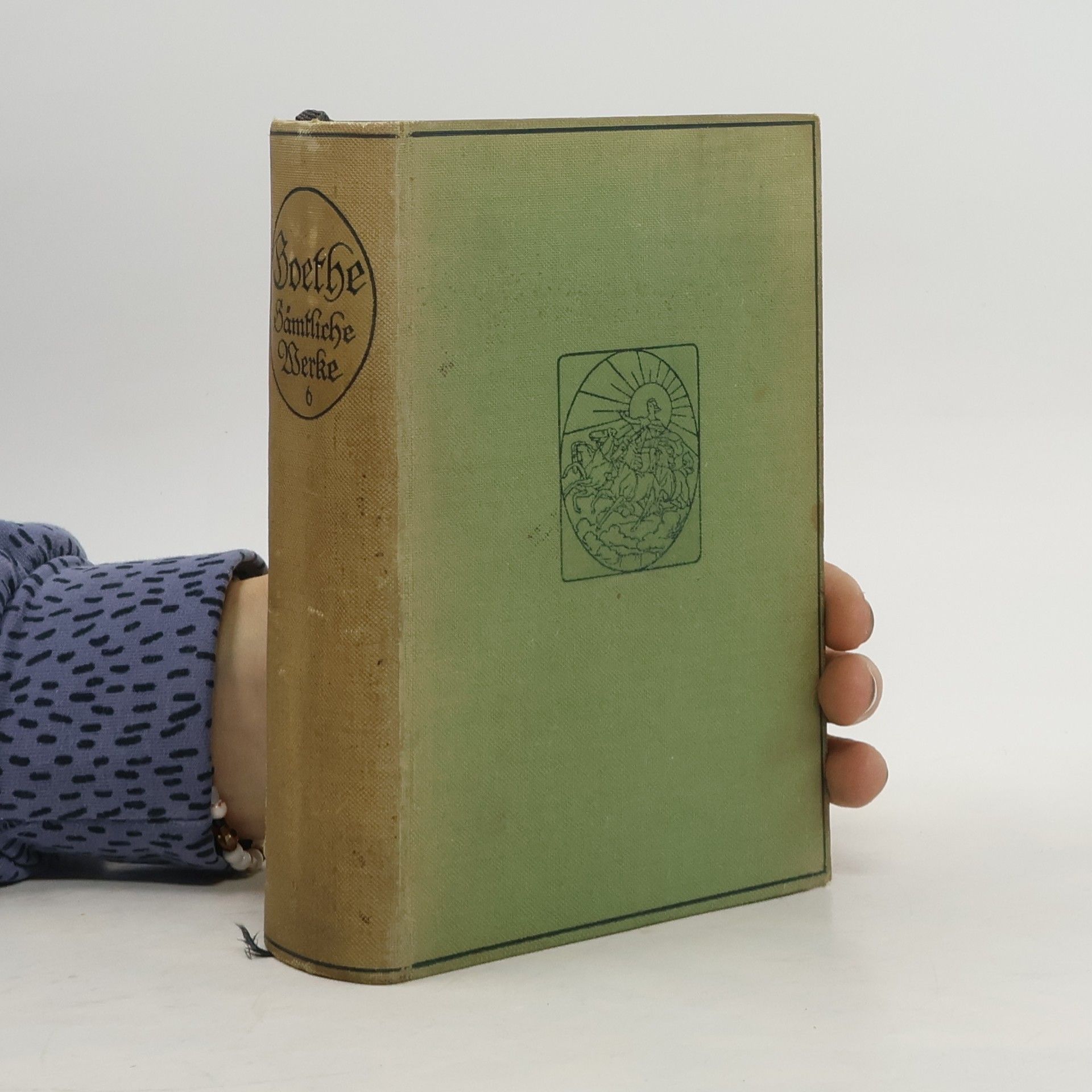 Johann Wolfgang von Goethe Sämtliche Werke 22