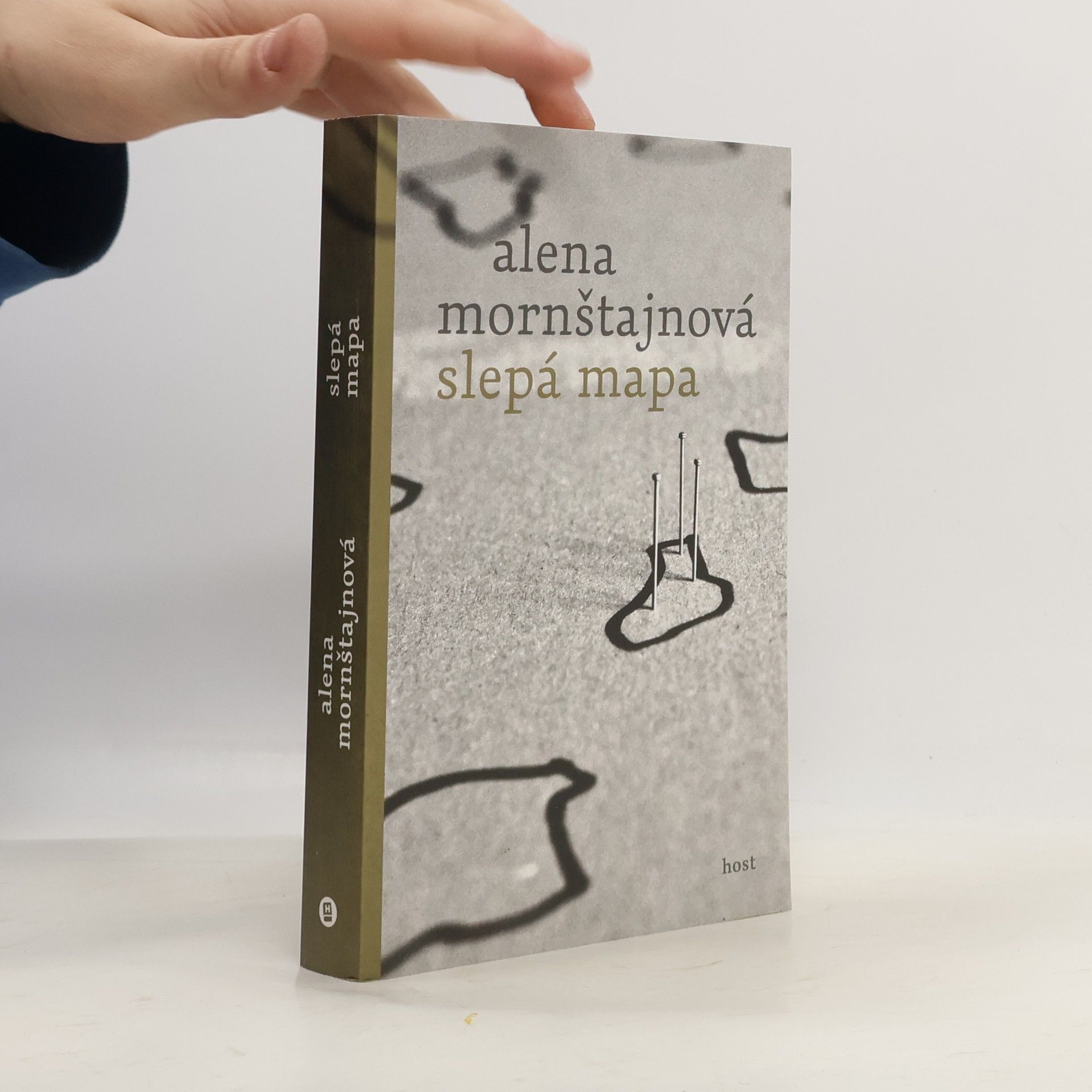 Alena Mornštajnová Slepá mapa