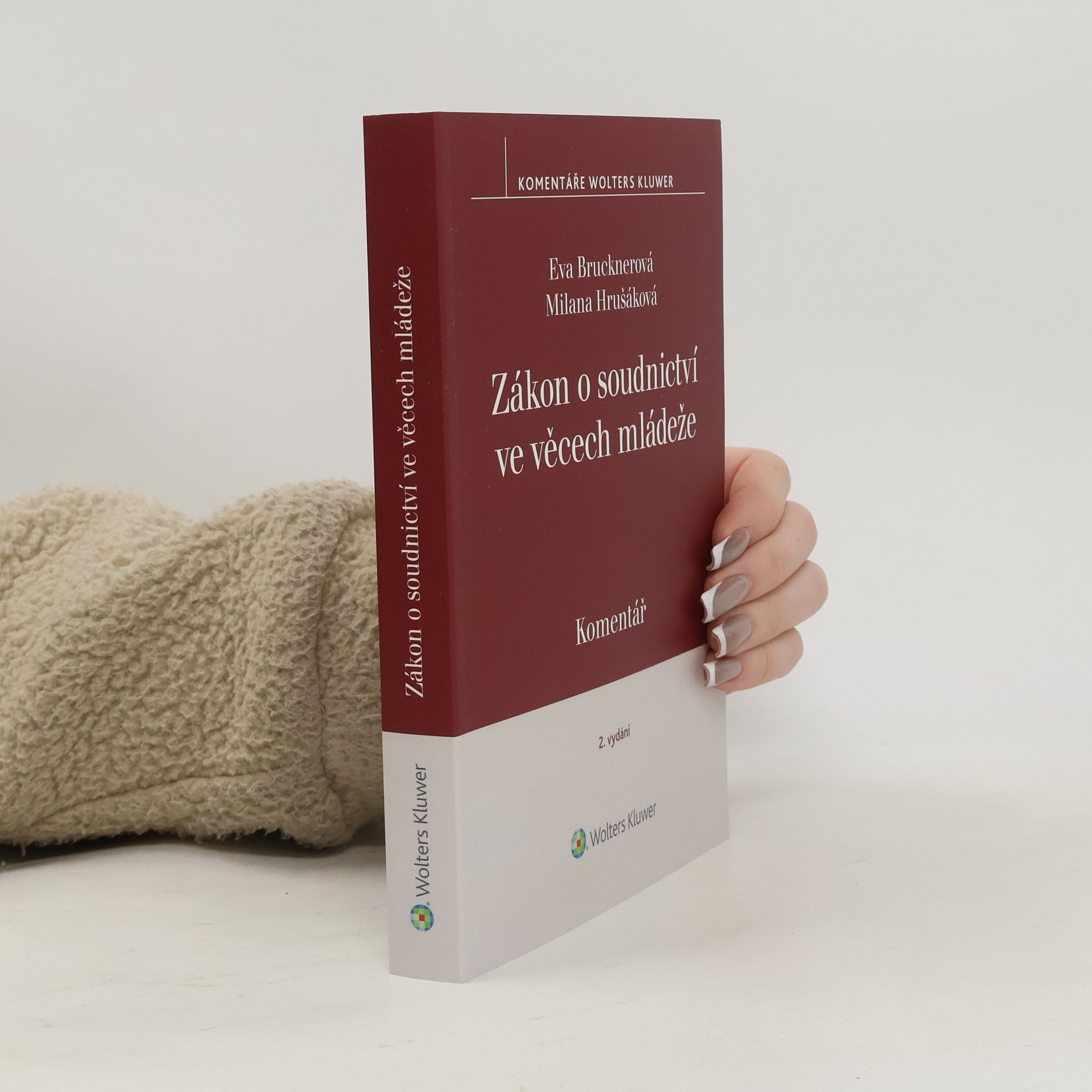 Eva Brucknerová Zákon o soudnictví ve věcech mládeže Komentář - 2. vydání