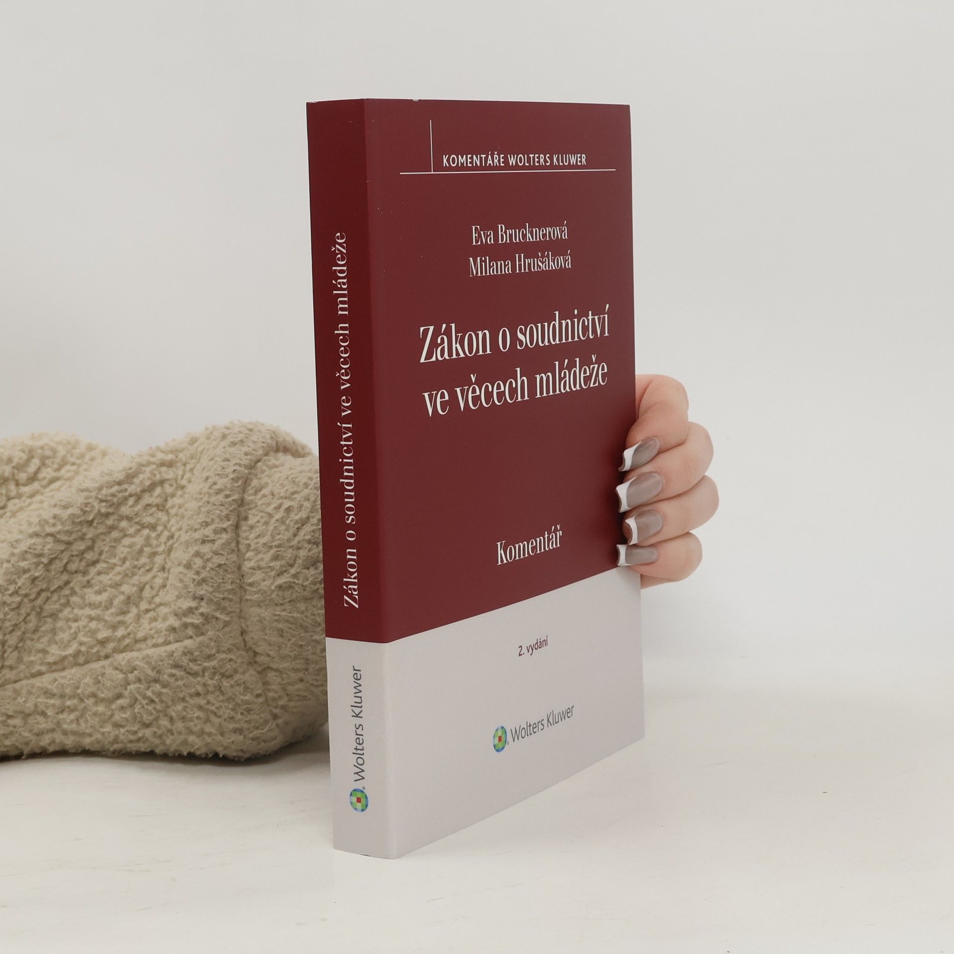 Eva Brucknerová Zákon o soudnictví ve věcech mládeže Komentář - 2. vydání