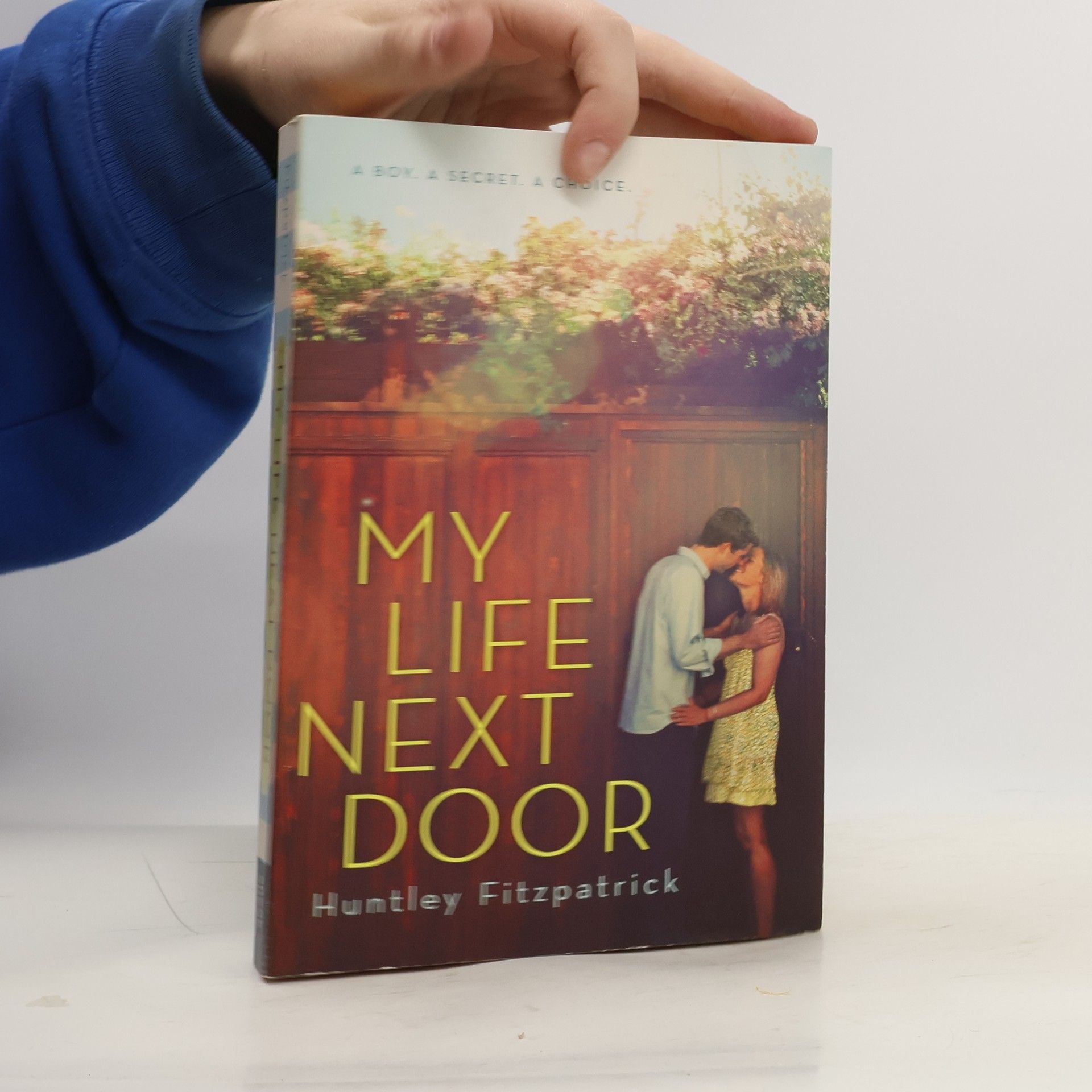 Huntley Fitzpatrick My Life Next Door