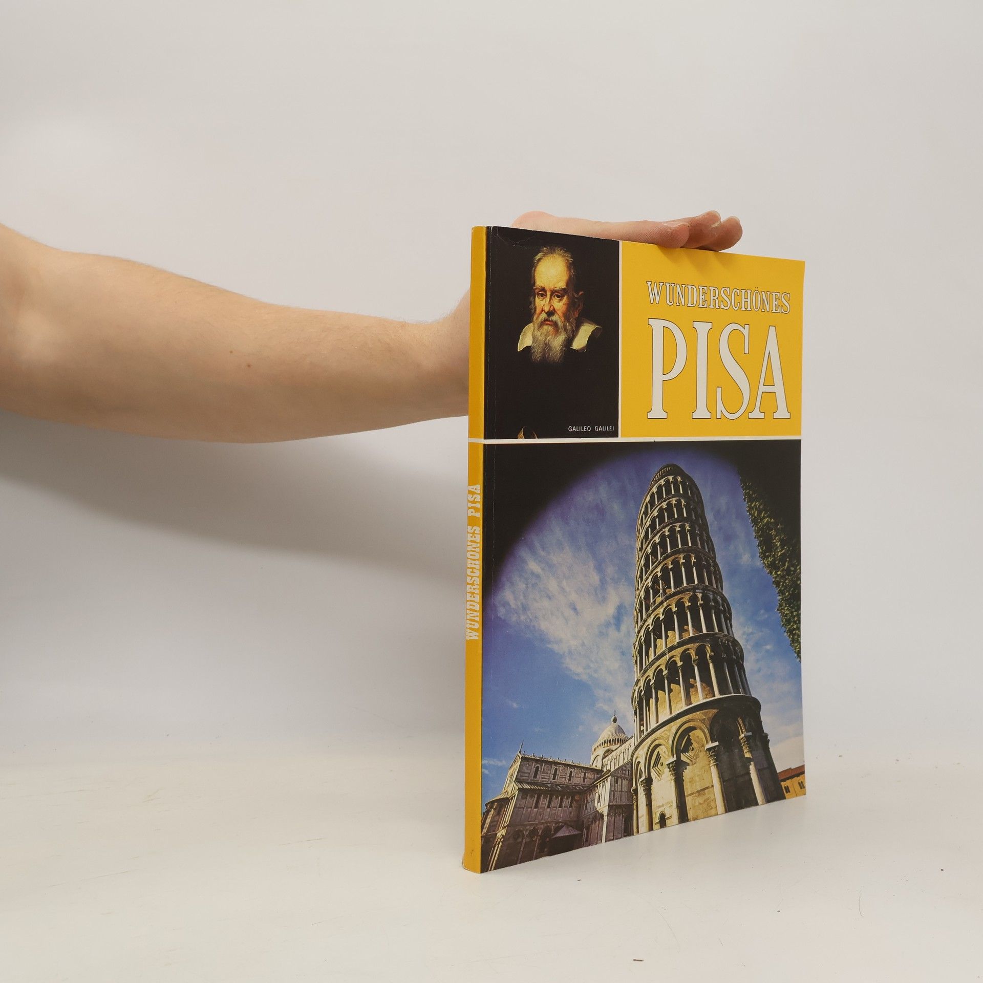 Auteurscollectief Wunderschönes Pisa
