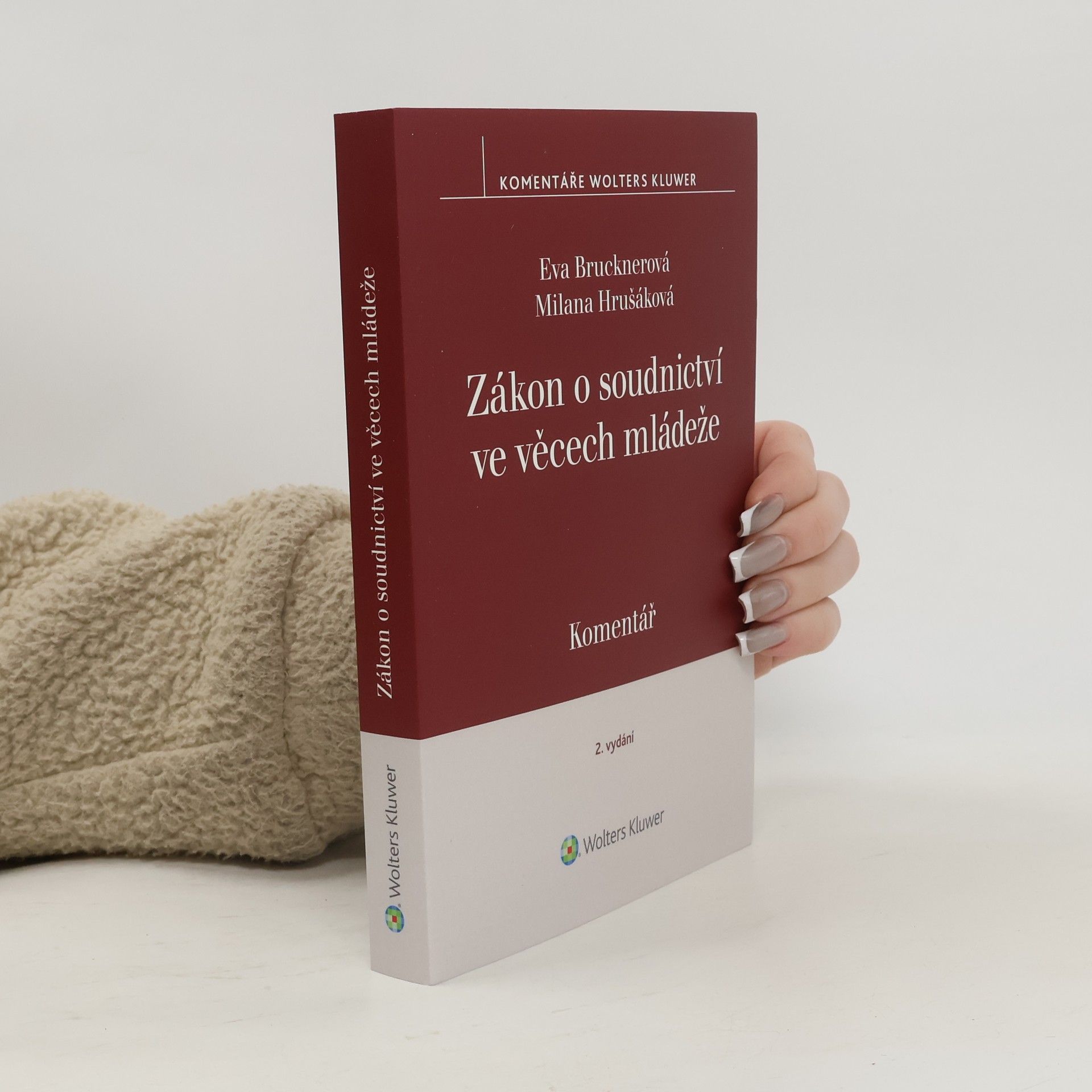 Eva Brucknerová Zákon o soudnictví ve věcech mládeže Komentář - 2. vydání