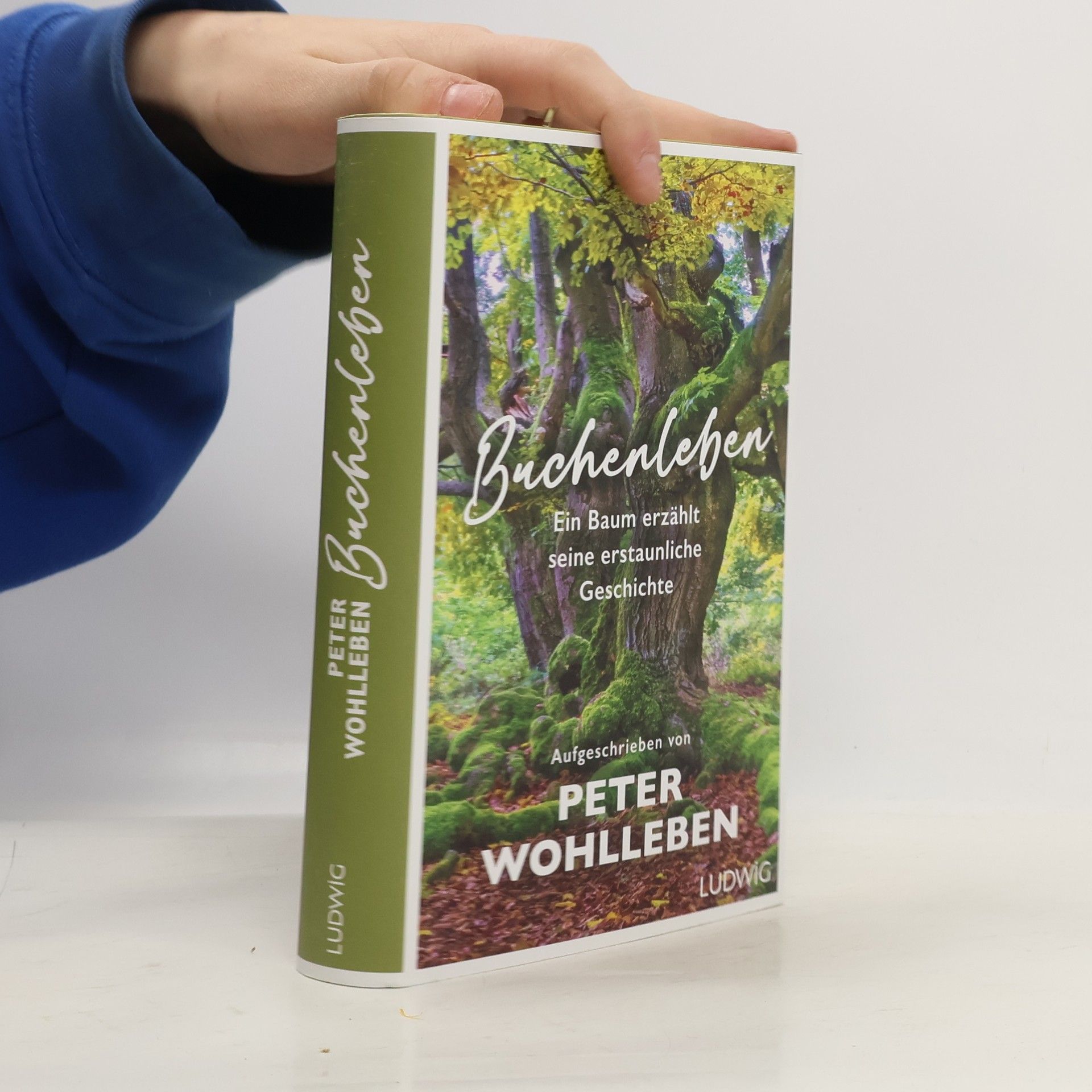 Buchenleben. Ein Baum erzählt seine erstaunliche Geschichte