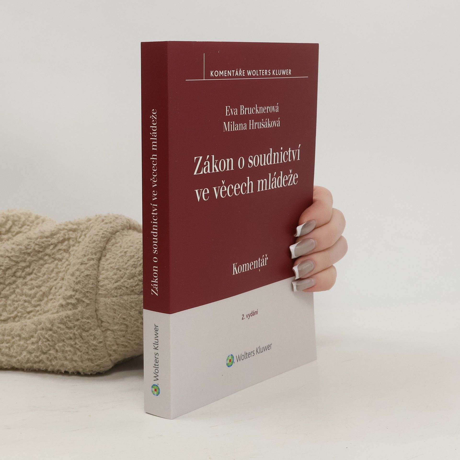 Eva Brucknerová Zákon o soudnictví ve věcech mládeže Komentář - 2. vydání