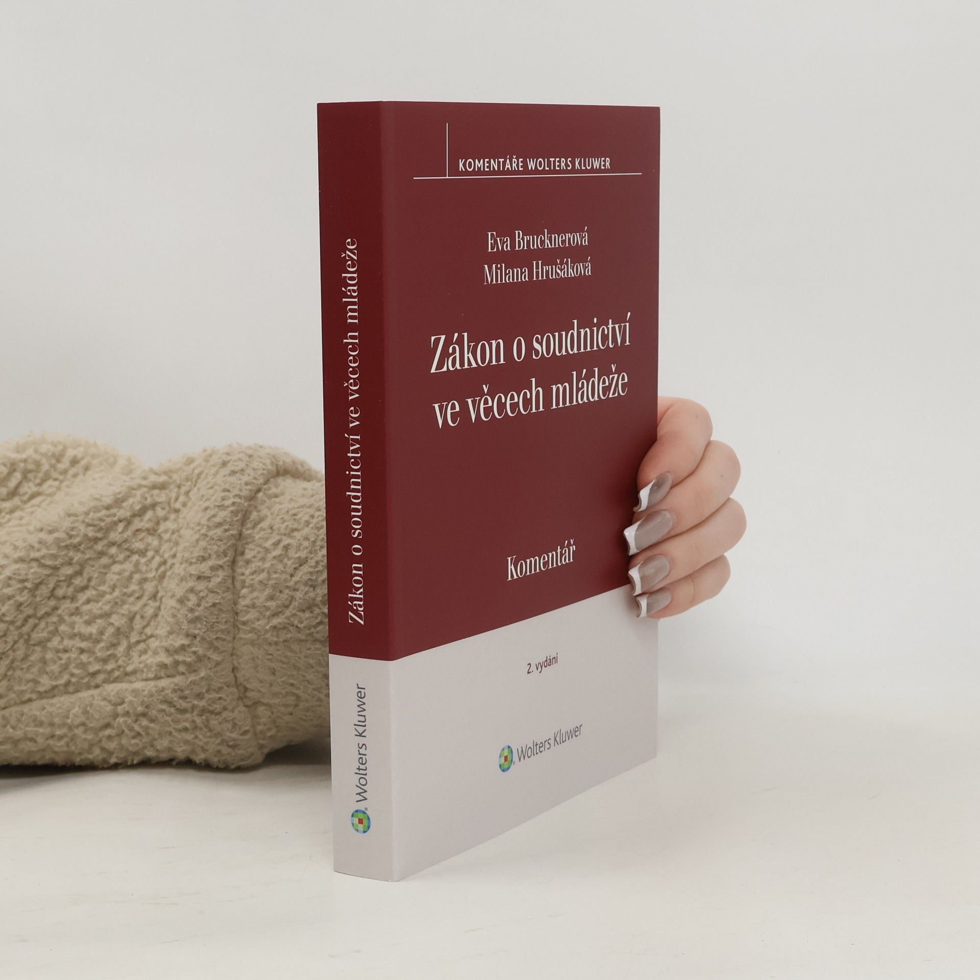 Eva Brucknerová Zákon o soudnictví ve věcech mládeže Komentář - 2. vydání