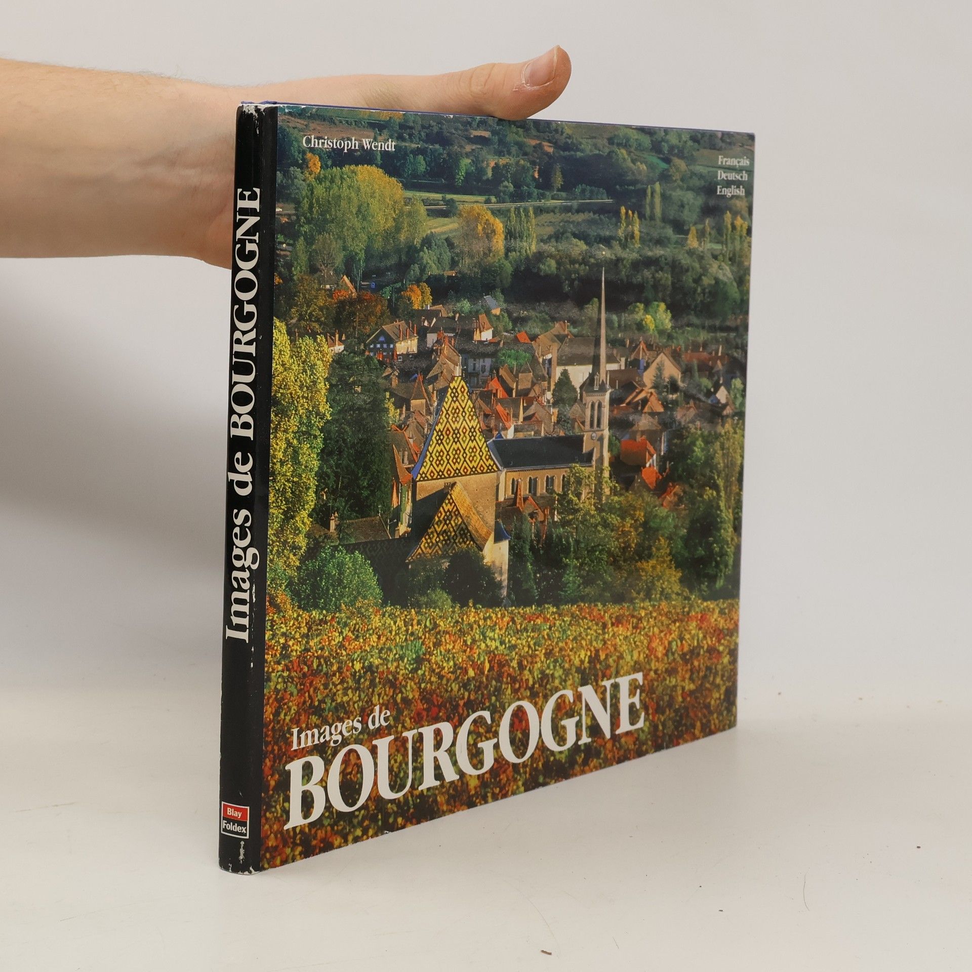 Kolektív autorov Images de Bourgogne