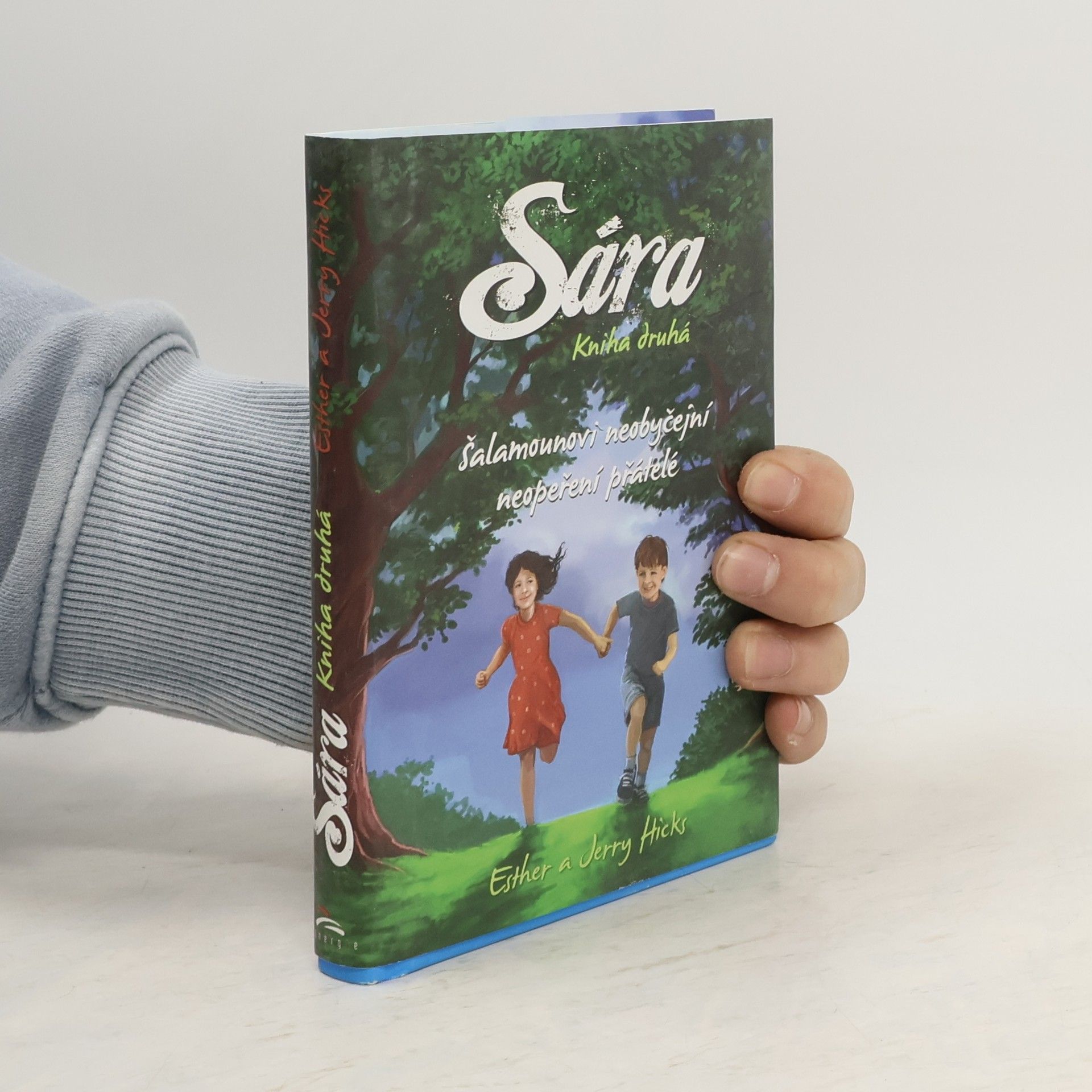 Esther Hicks Sára. Kniha druhá, Šalamounovi neobyčejní neopeření přátelé