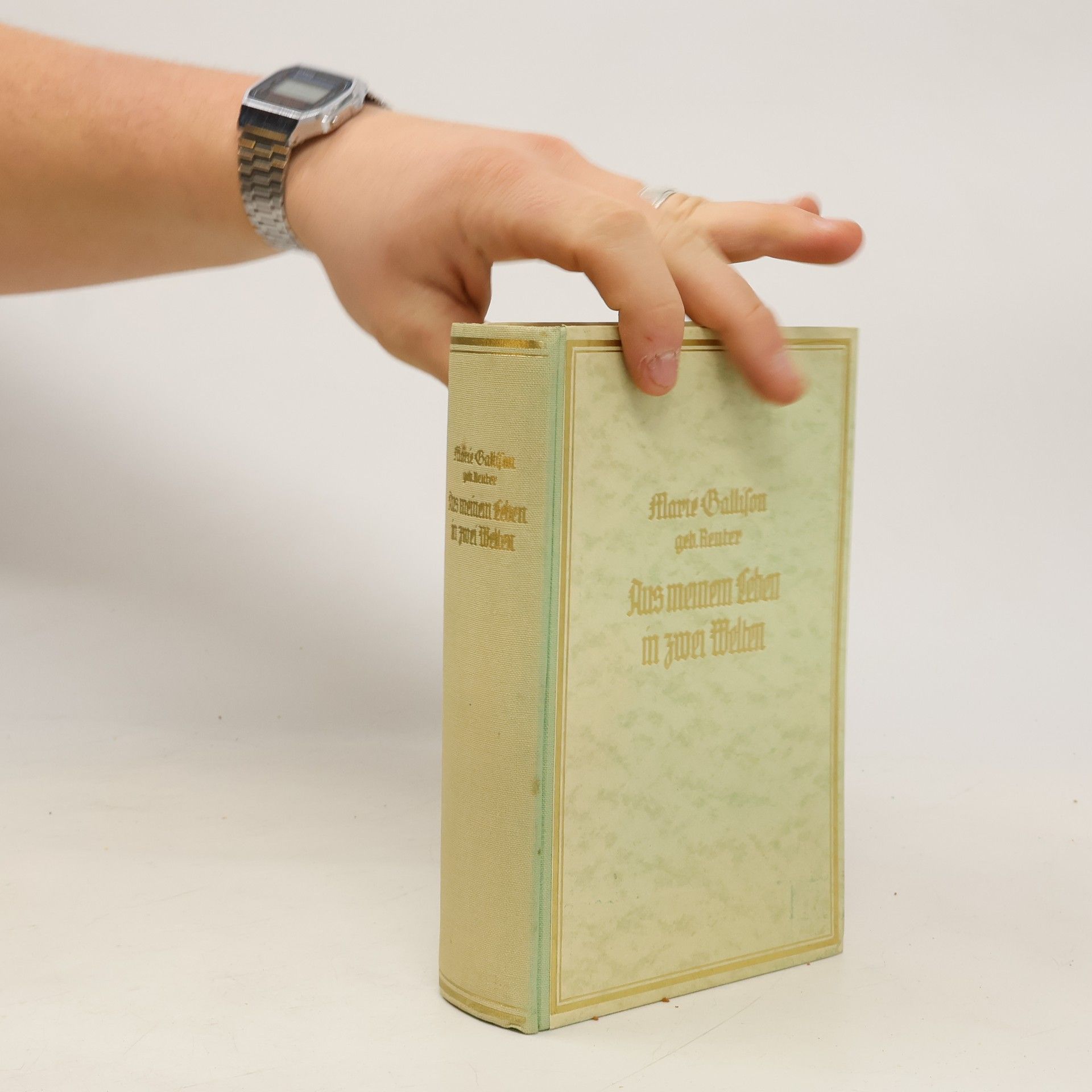 Marie Gallison Aus meinem Leben in zwei Welten