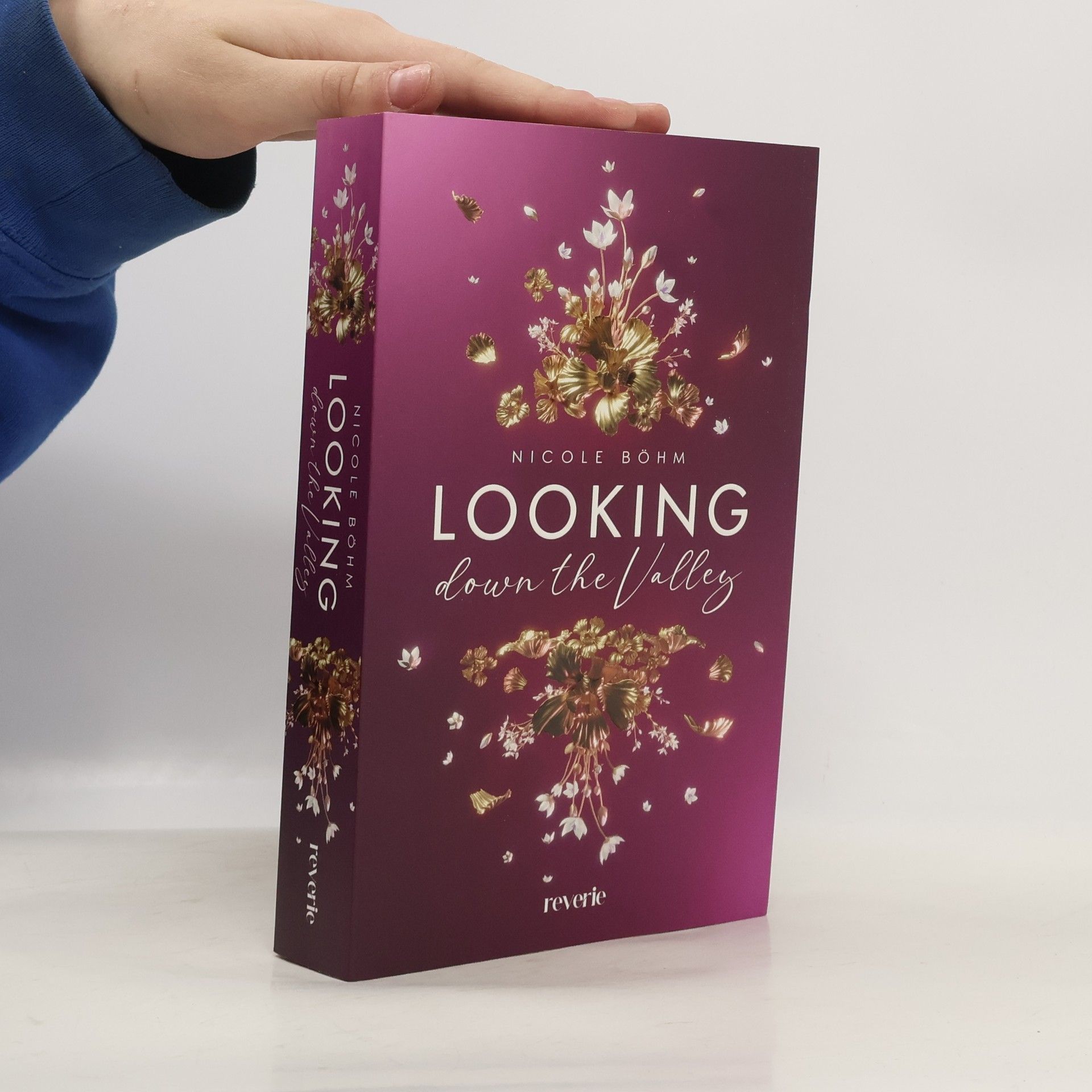 Nicole Böhm Looking down the Valley