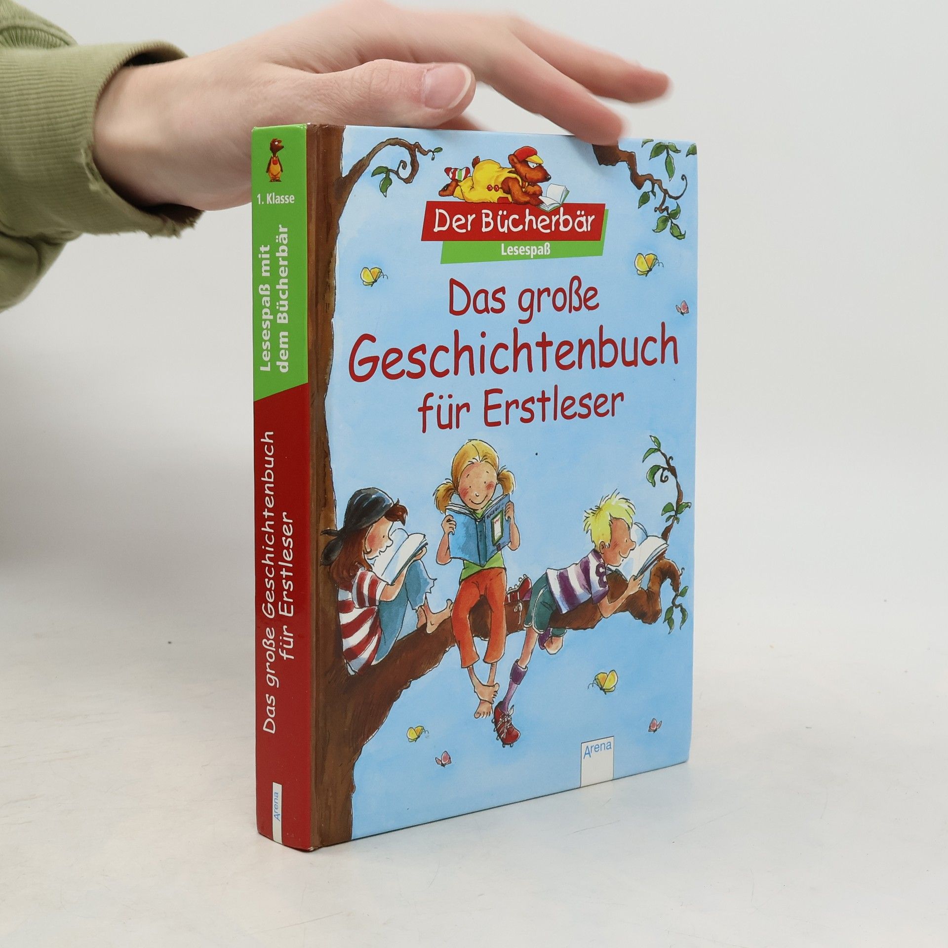 AA.VV. Das große Geschichtenbuch für Erstleser