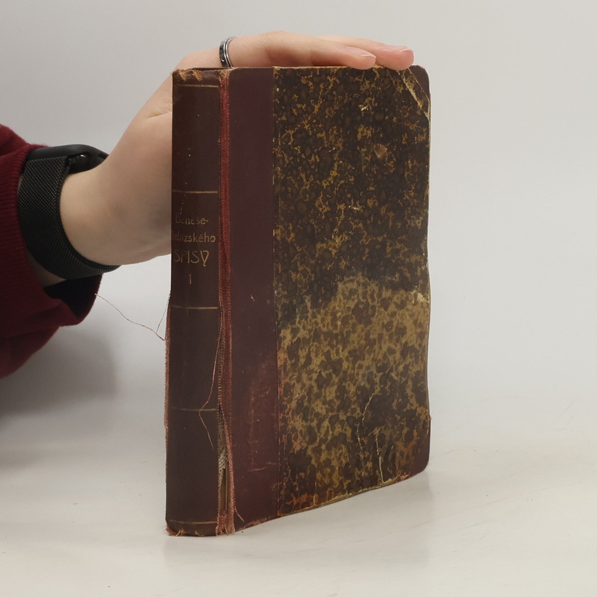 Václav Beneš Třebízský Spisy 1. Ze zapomenuté vesnice