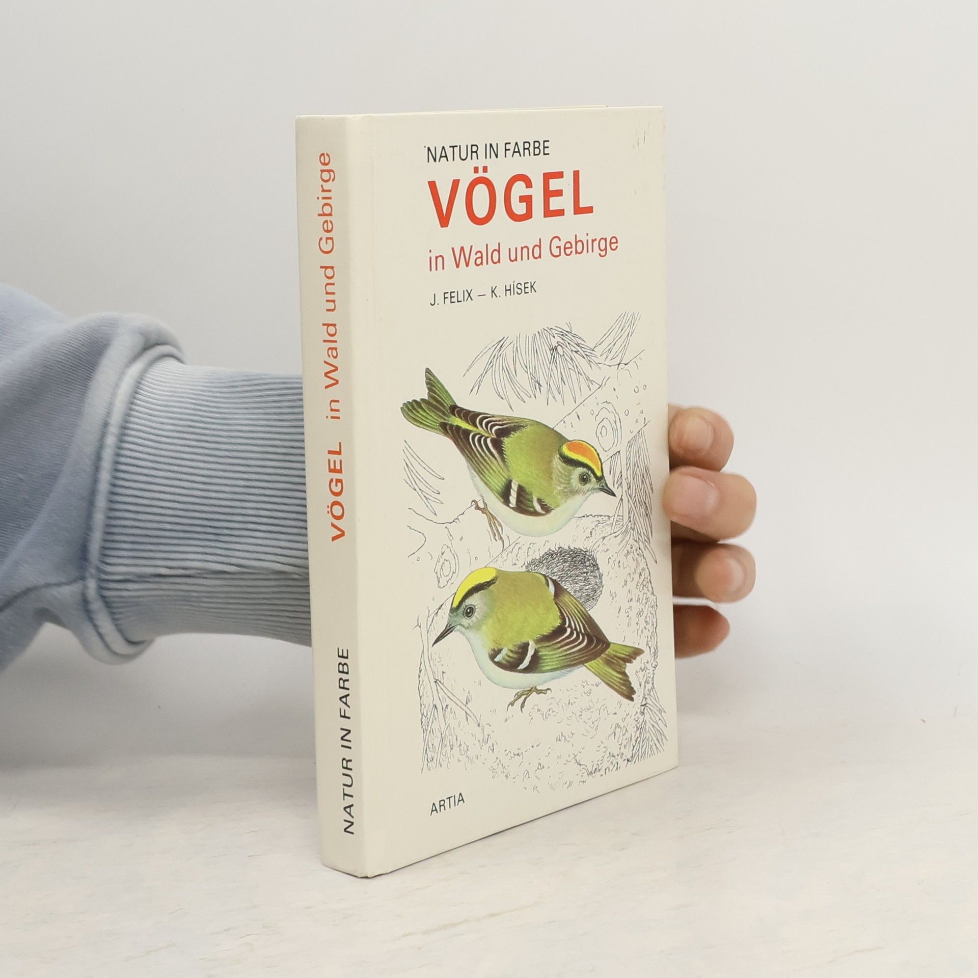 Vögel in Wald und Gebirge