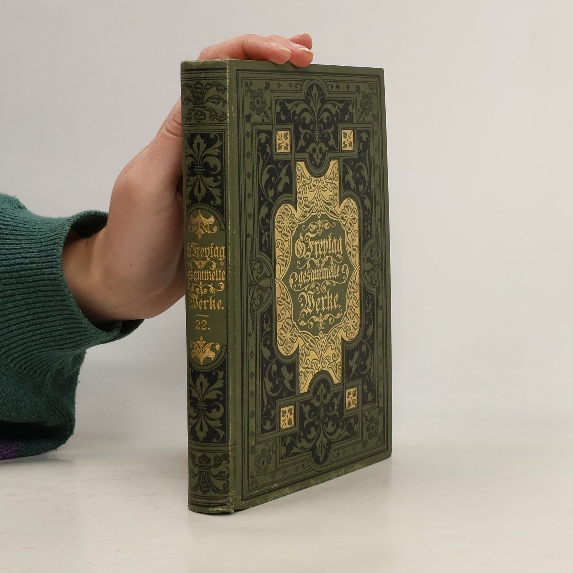Gustav Freytag Gesammelte Werke 22