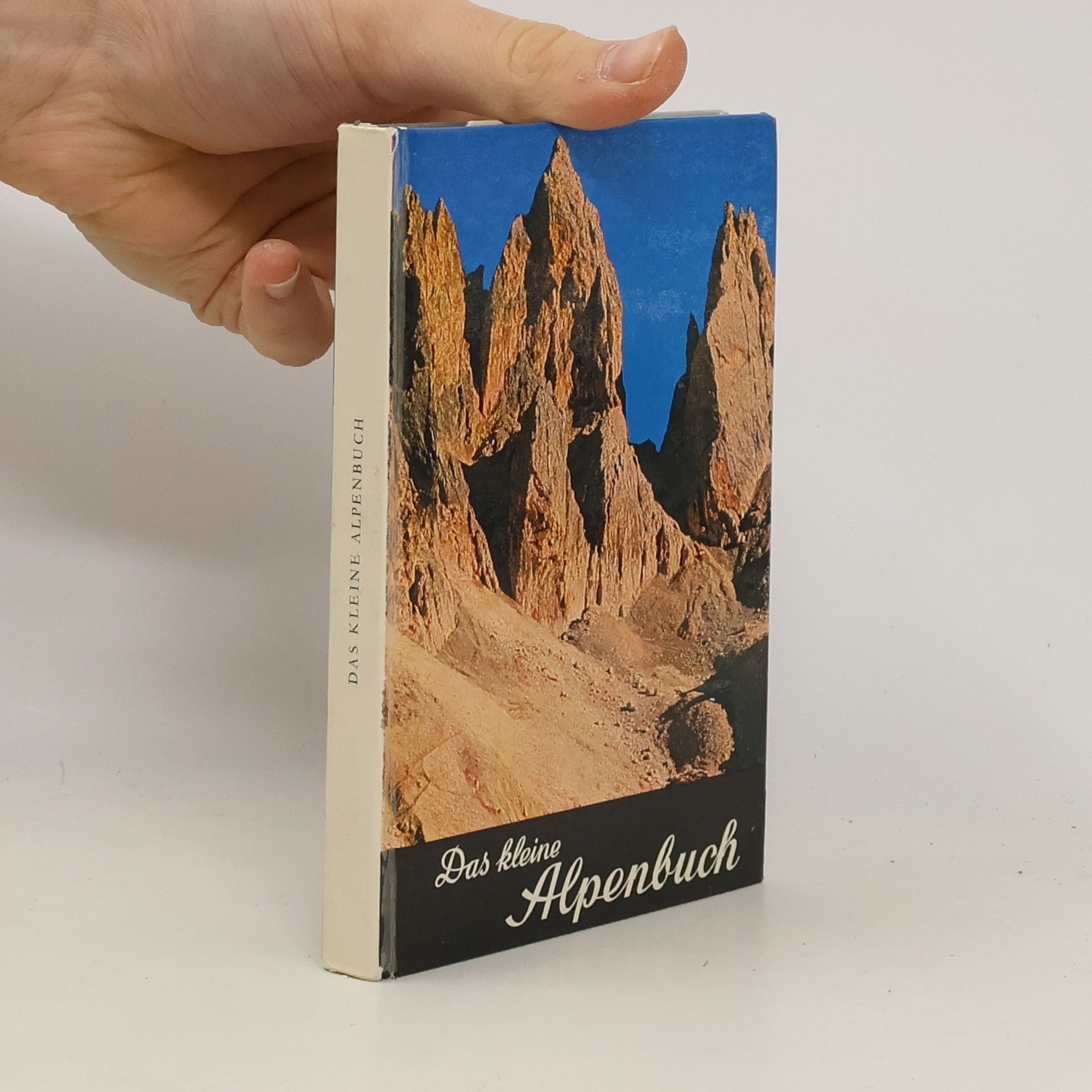 Autorenkollektiv Das kleine Alpenbuch