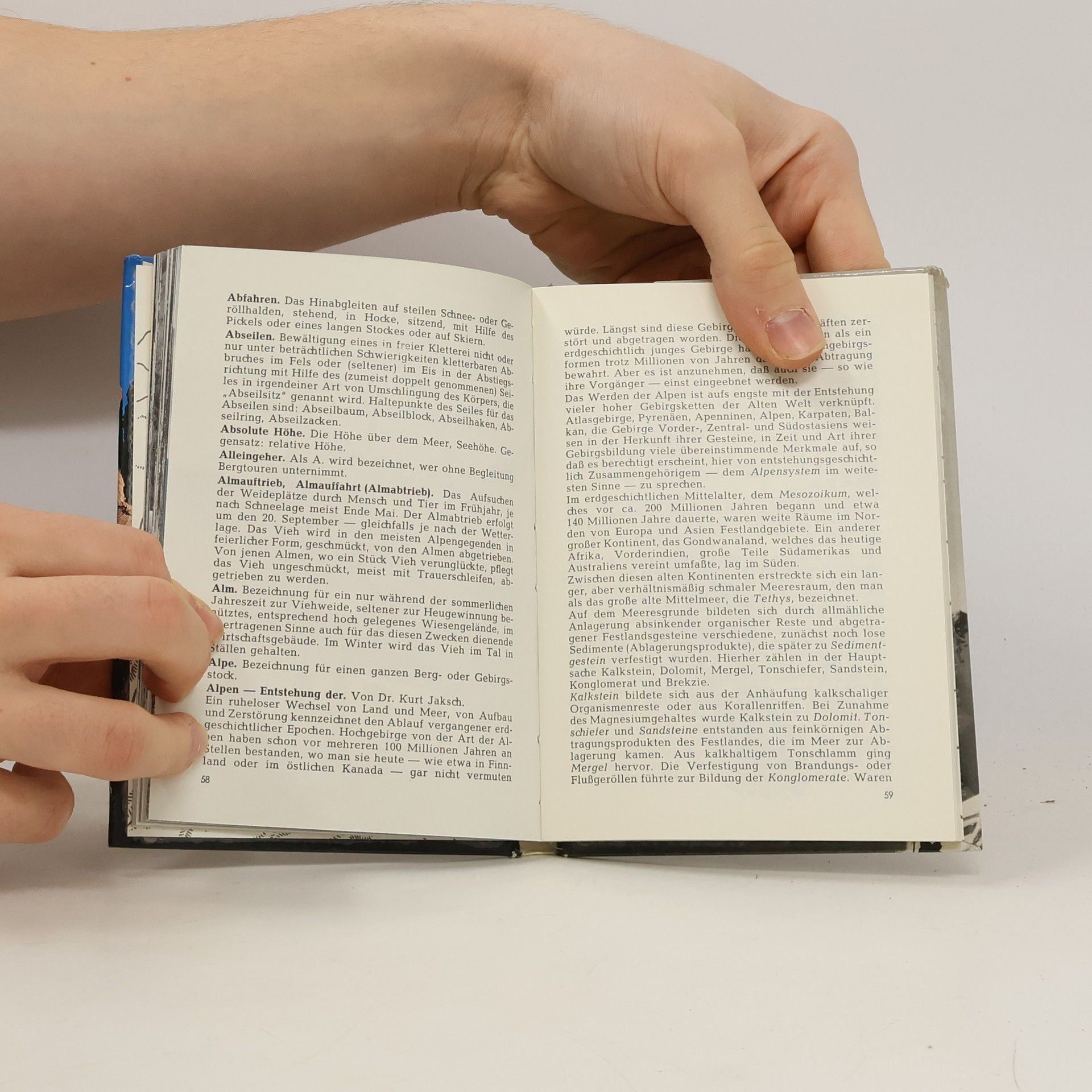 Autorenkollektiv Das kleine Alpenbuch