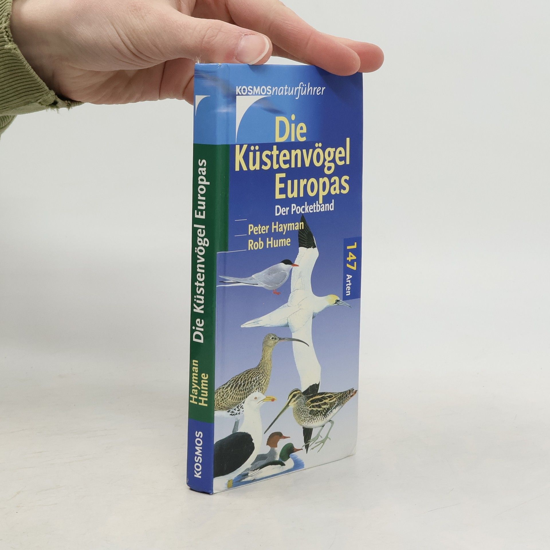 Die Küstenvögel Europas