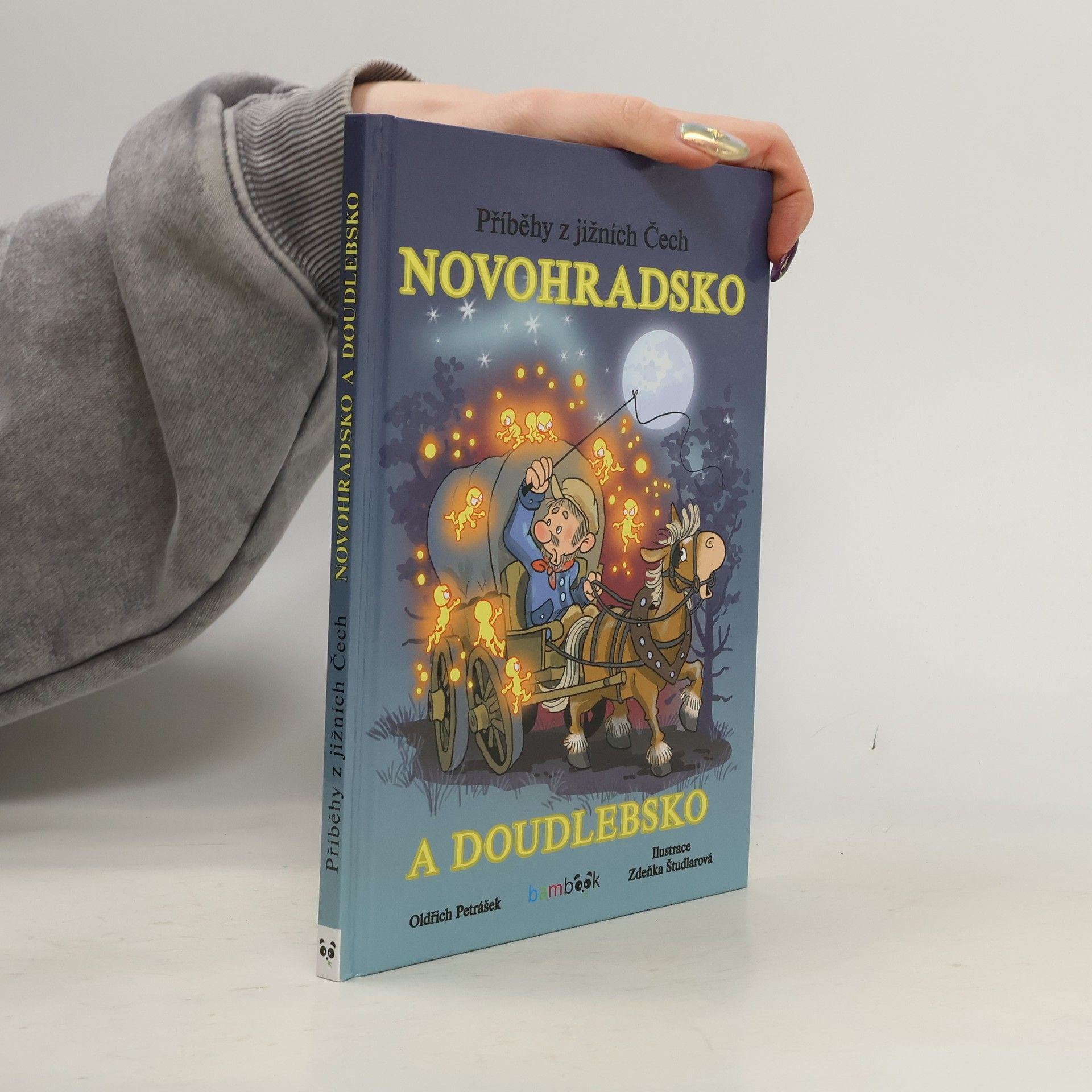 Oldřich Petrášek Příběhy z jižních Čech - Novohradsko a Doudlebsko