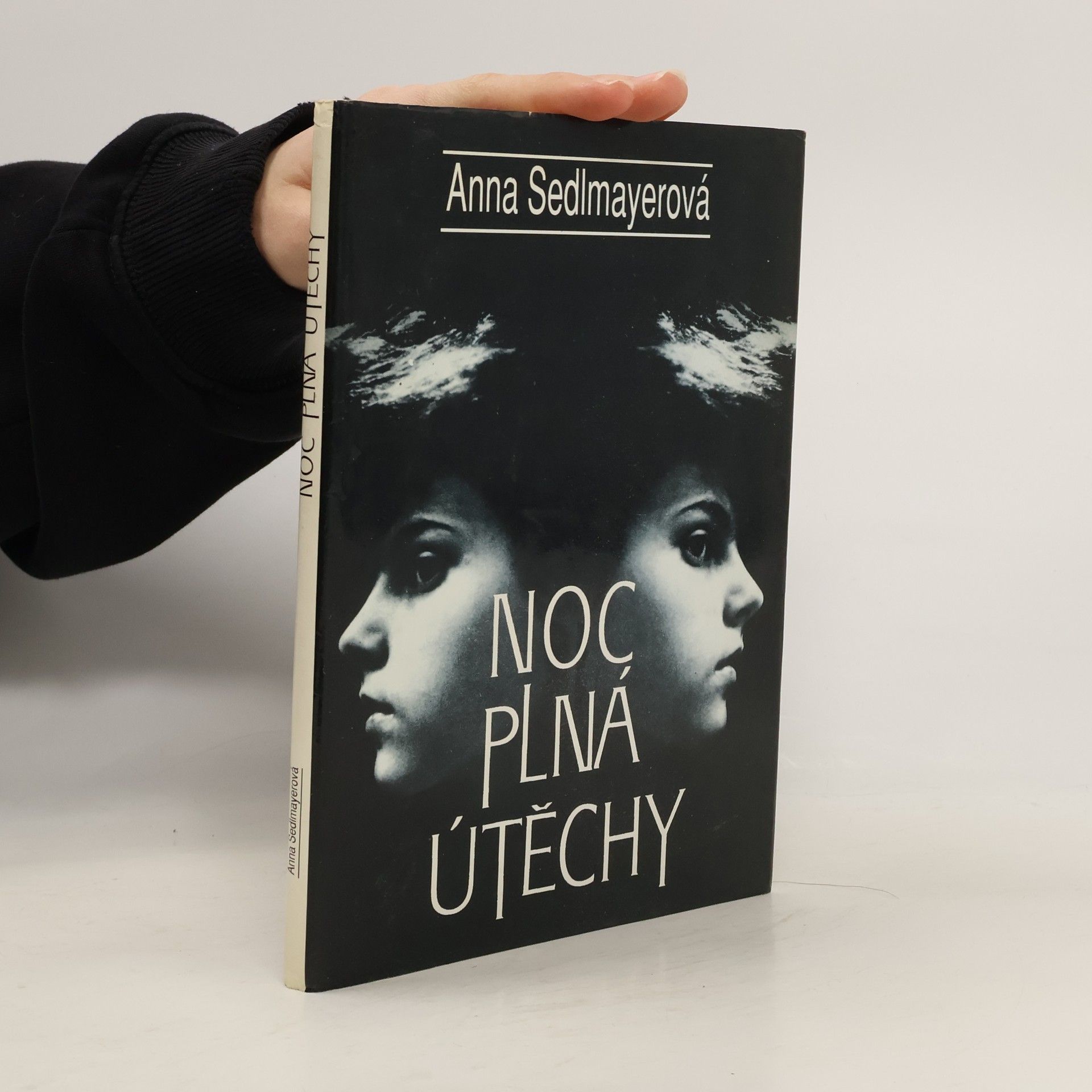 Anna Sedlmayerová Noc plná útěchy