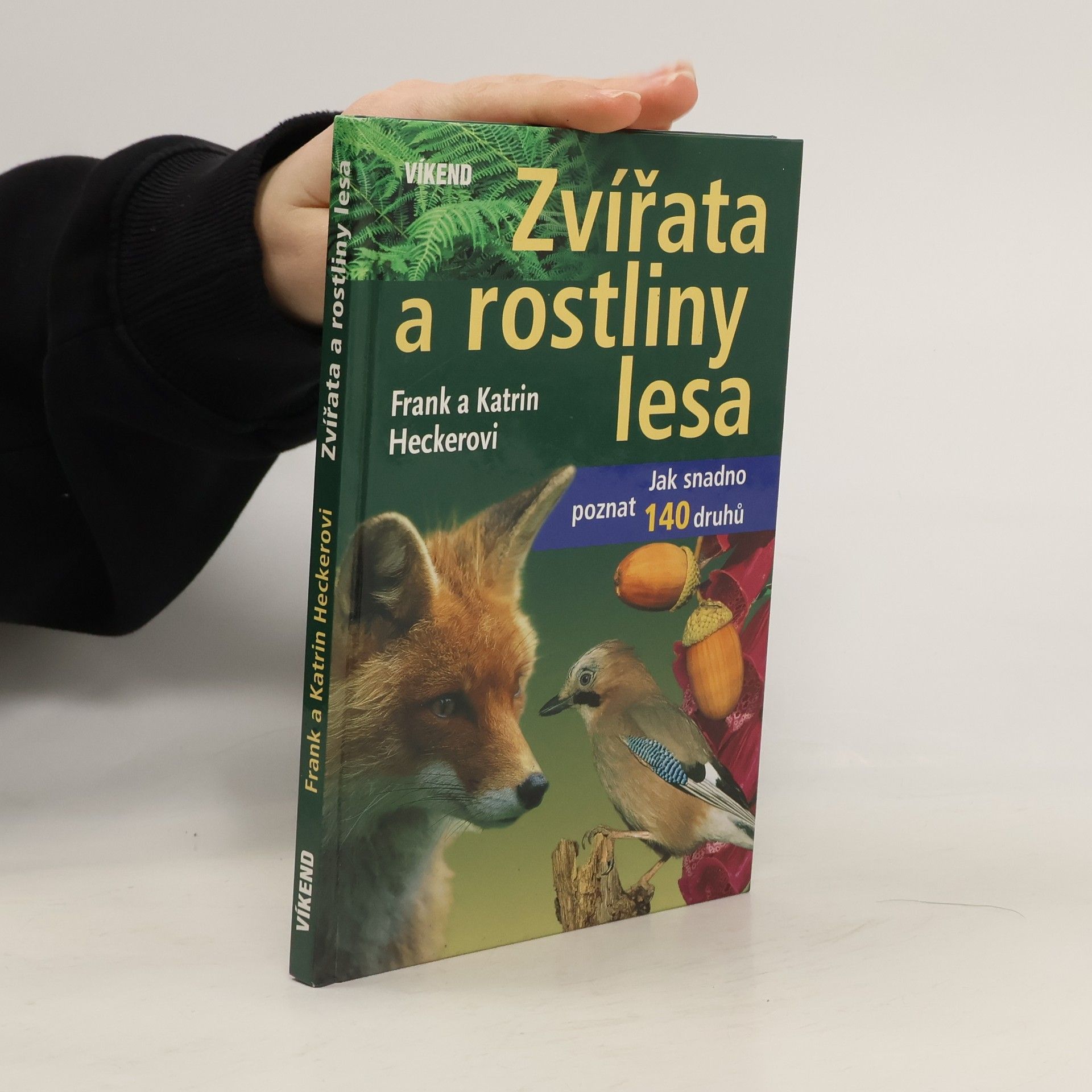 Katrin Hecker Zvířata a rostliny lesa