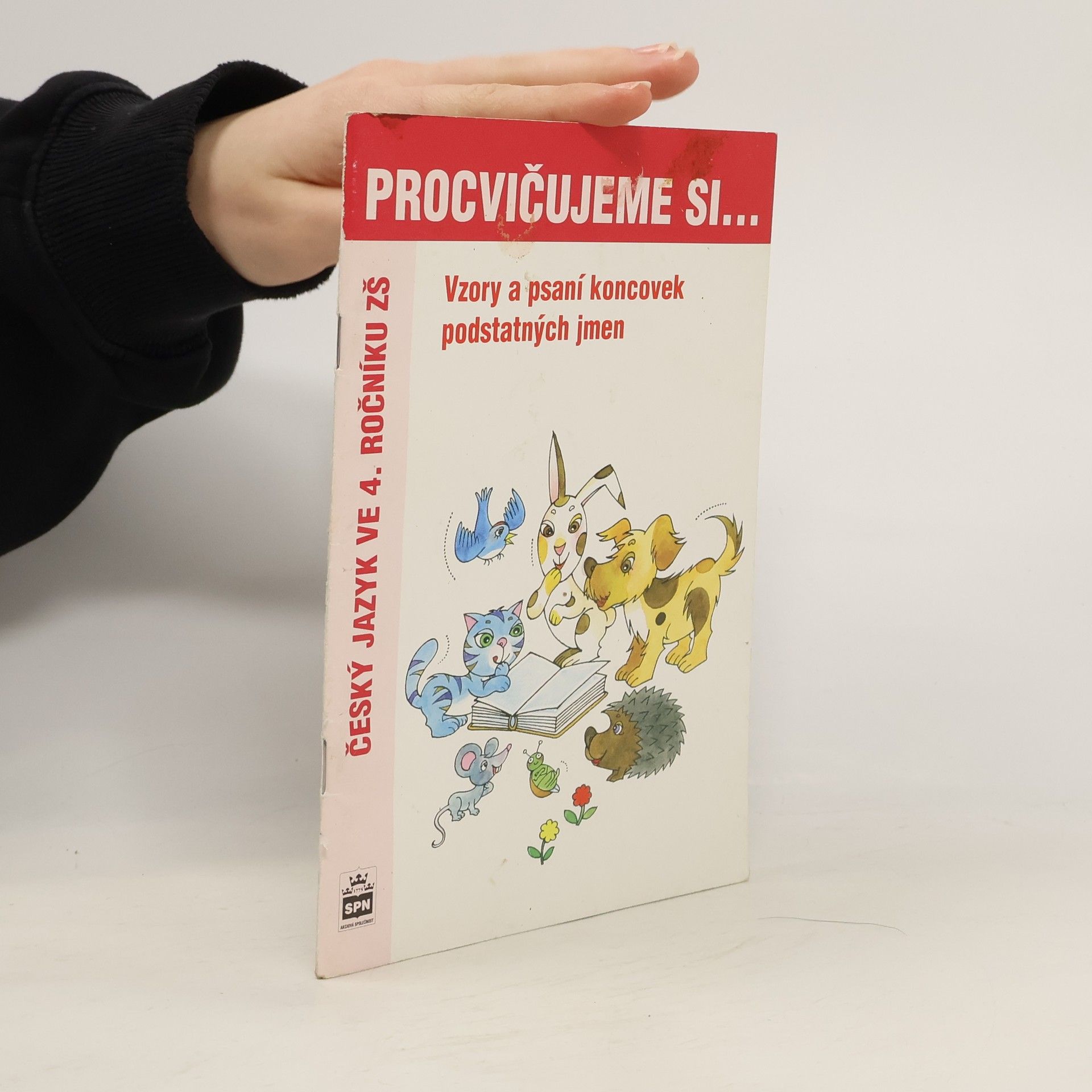 Lenka Galertová Vzory podstatných jmen a psaní jejich koncovek