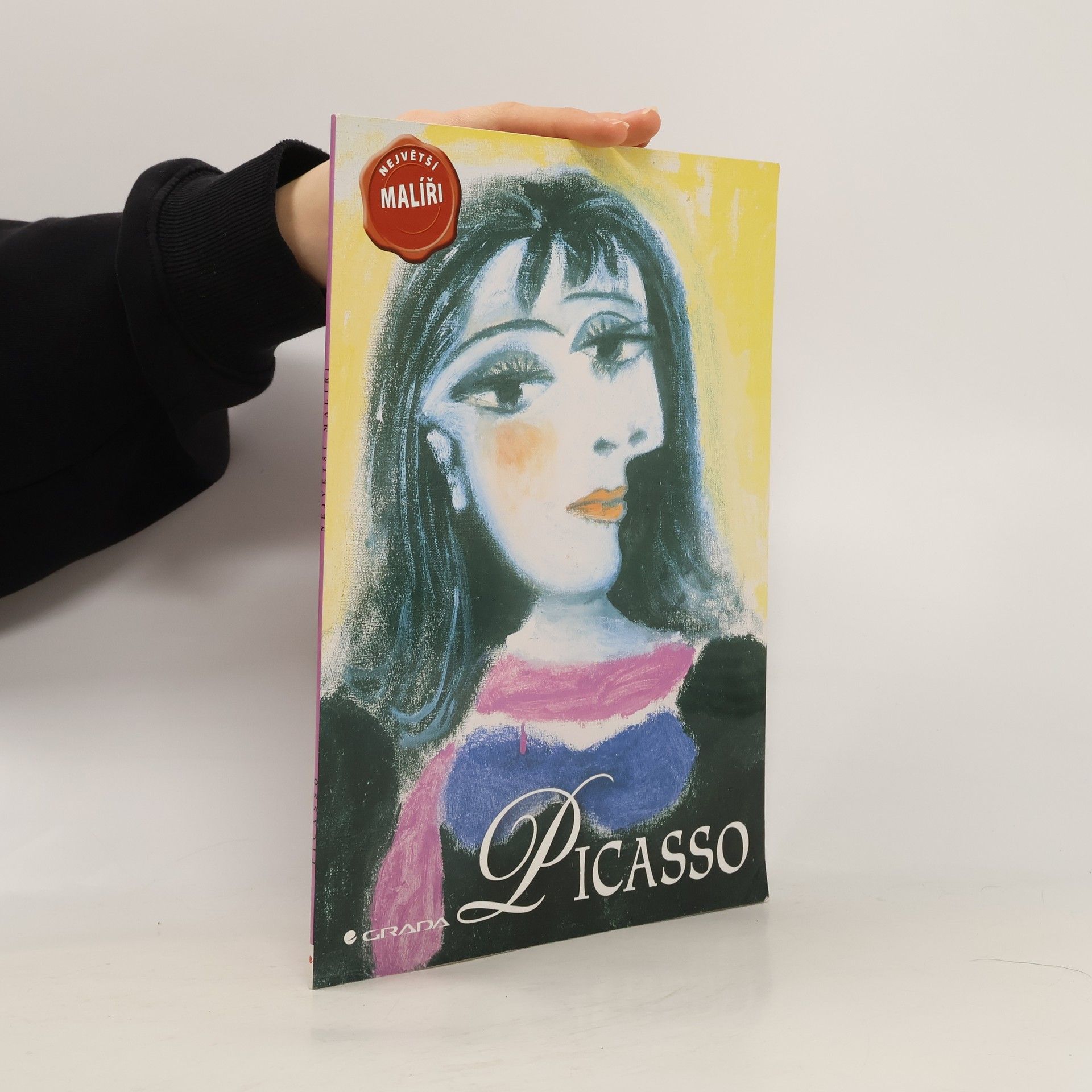 David Spence Picasso