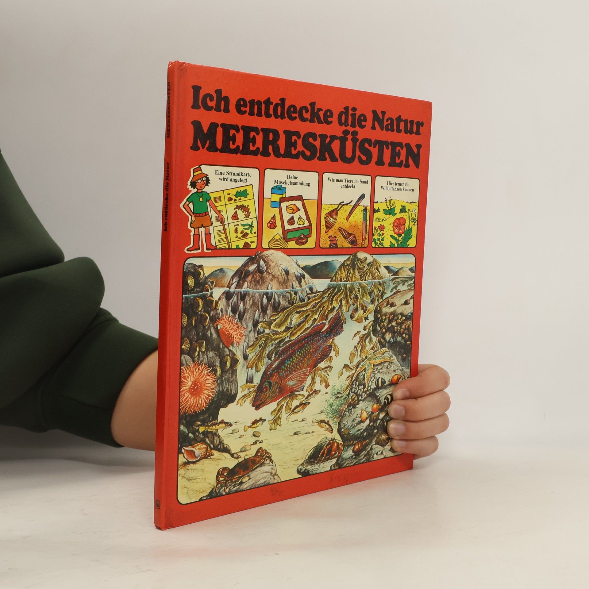 Ich entdecke die Natur: Meeresküsten