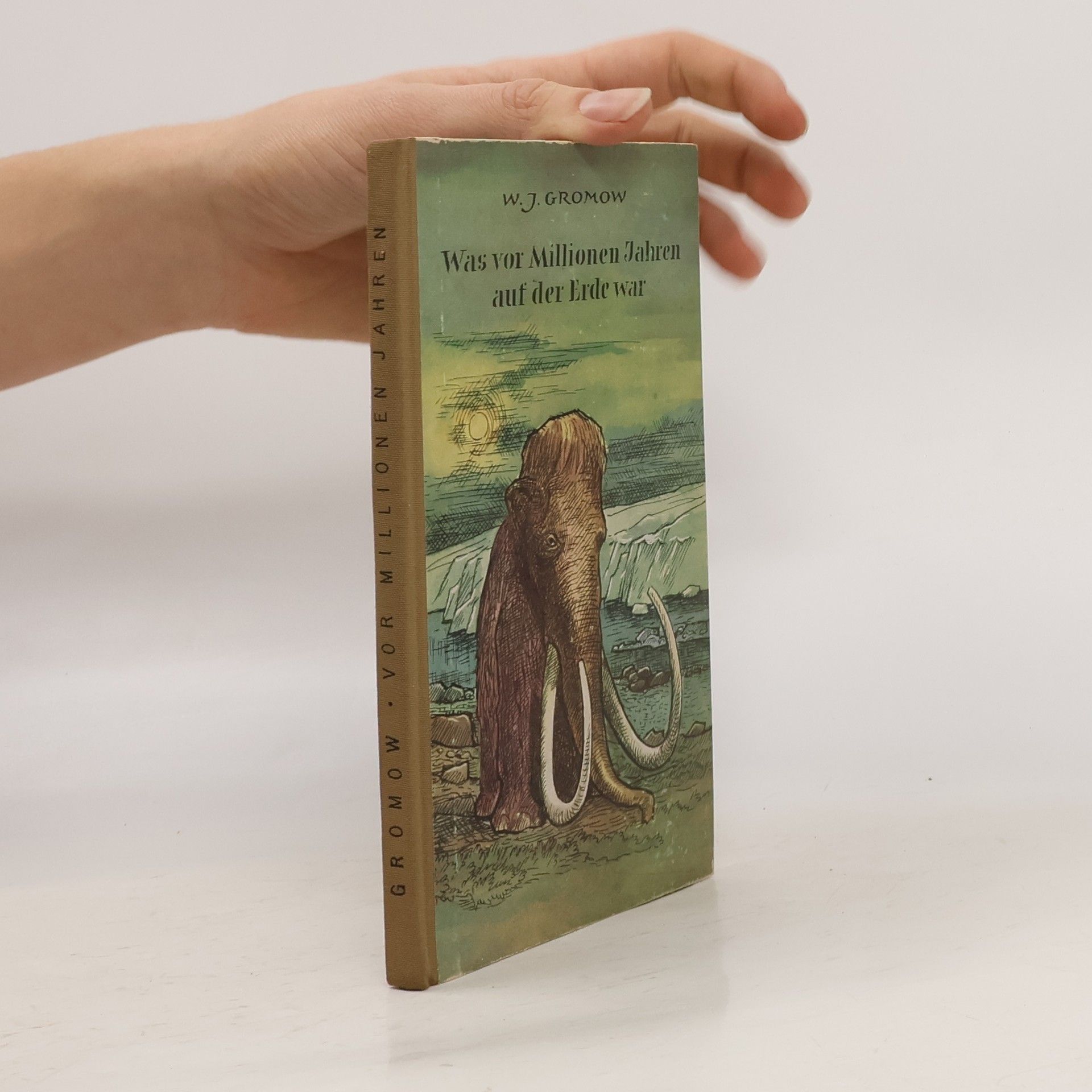 W.J. Gromow Was vor Millionen Jahren auf der Erde war