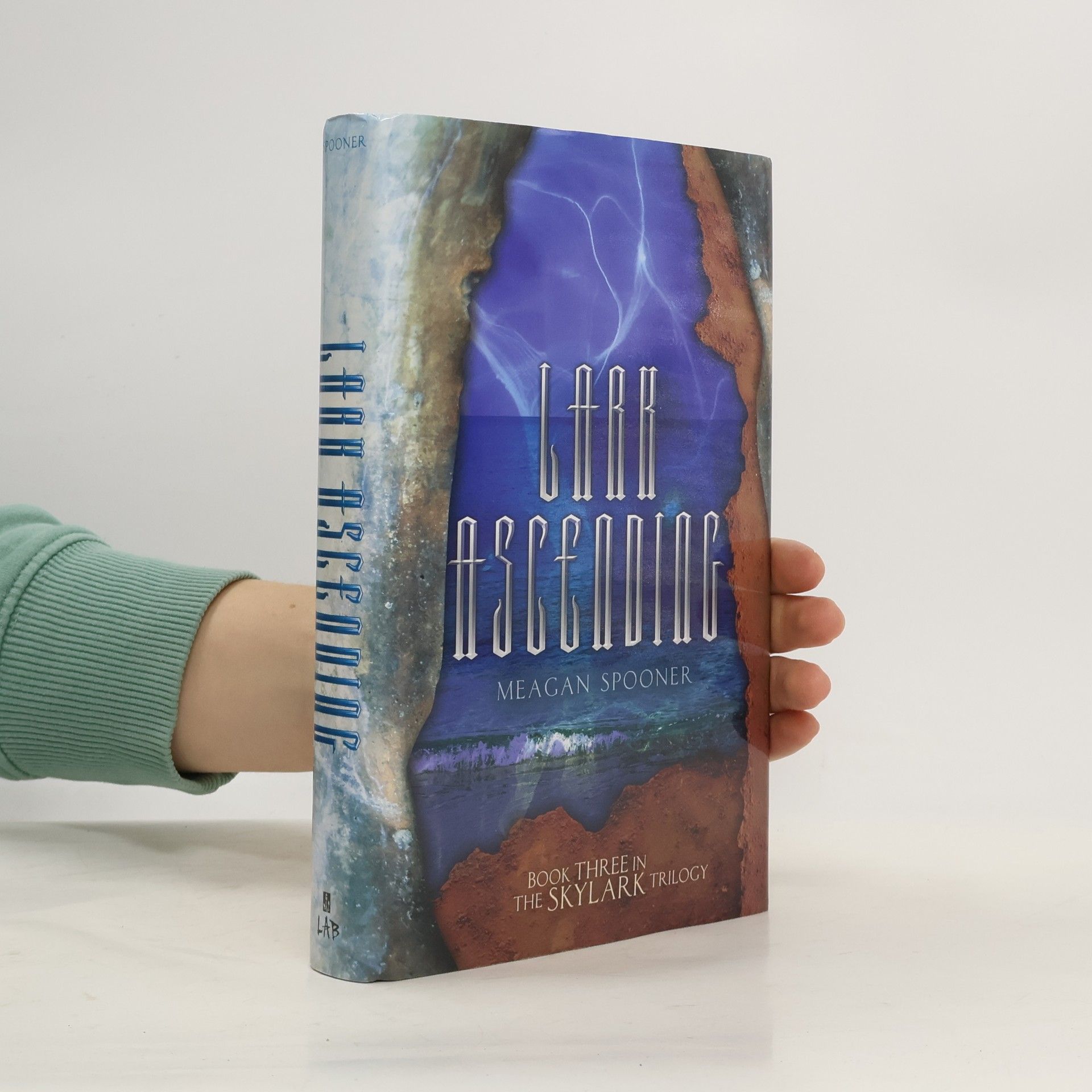 Meagan Spooner Lark Ascending