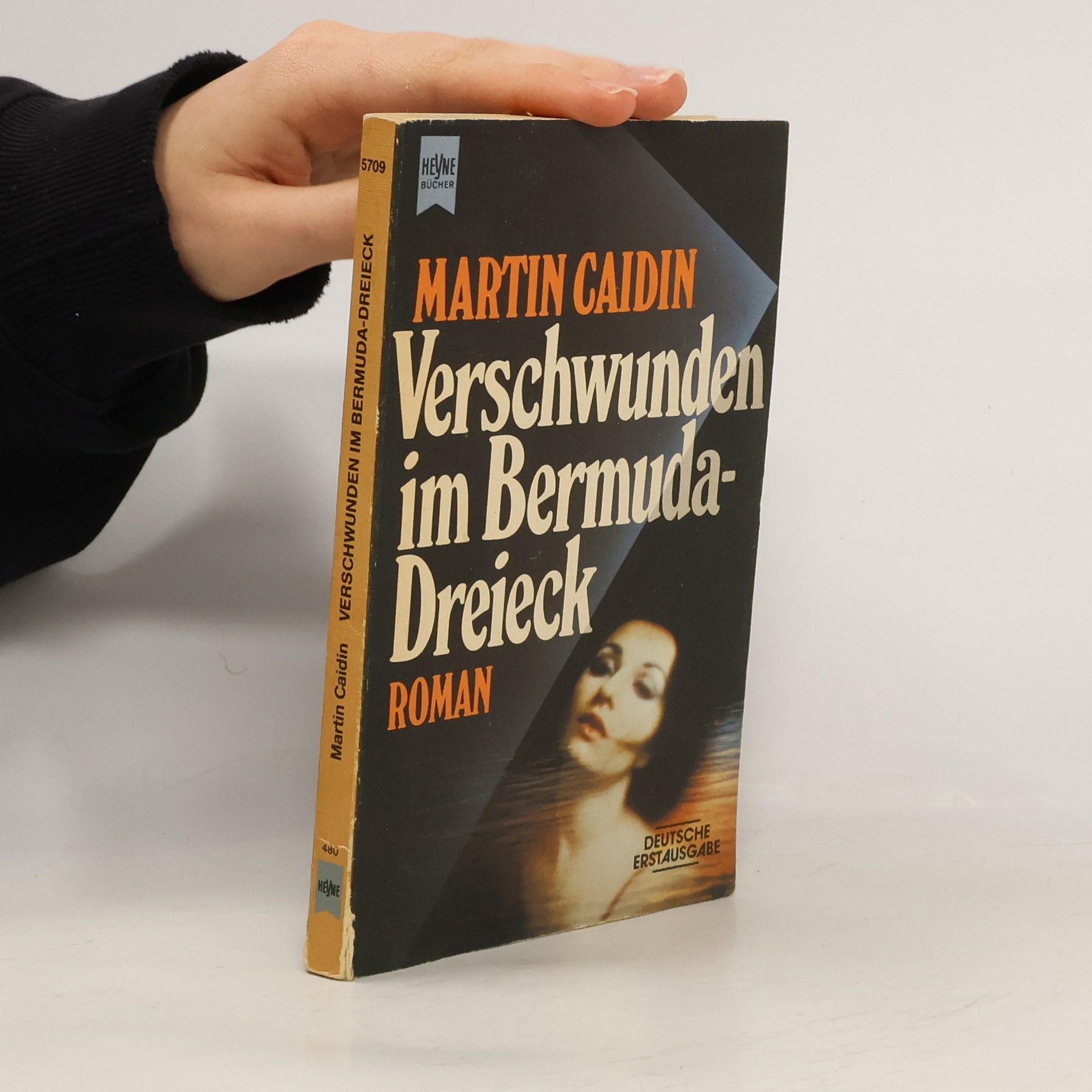 Martin Caidin Verschwunden im Bermuda-Dreieck