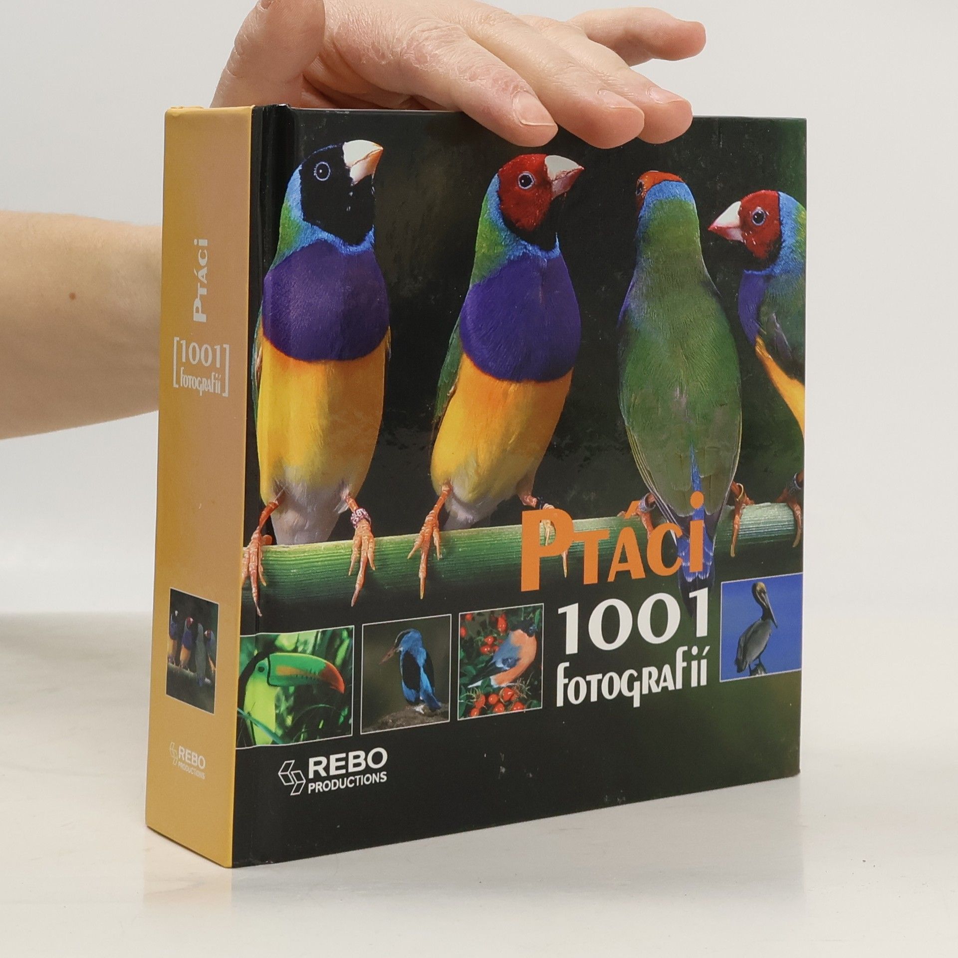 Ptáci. 1001 fotografií