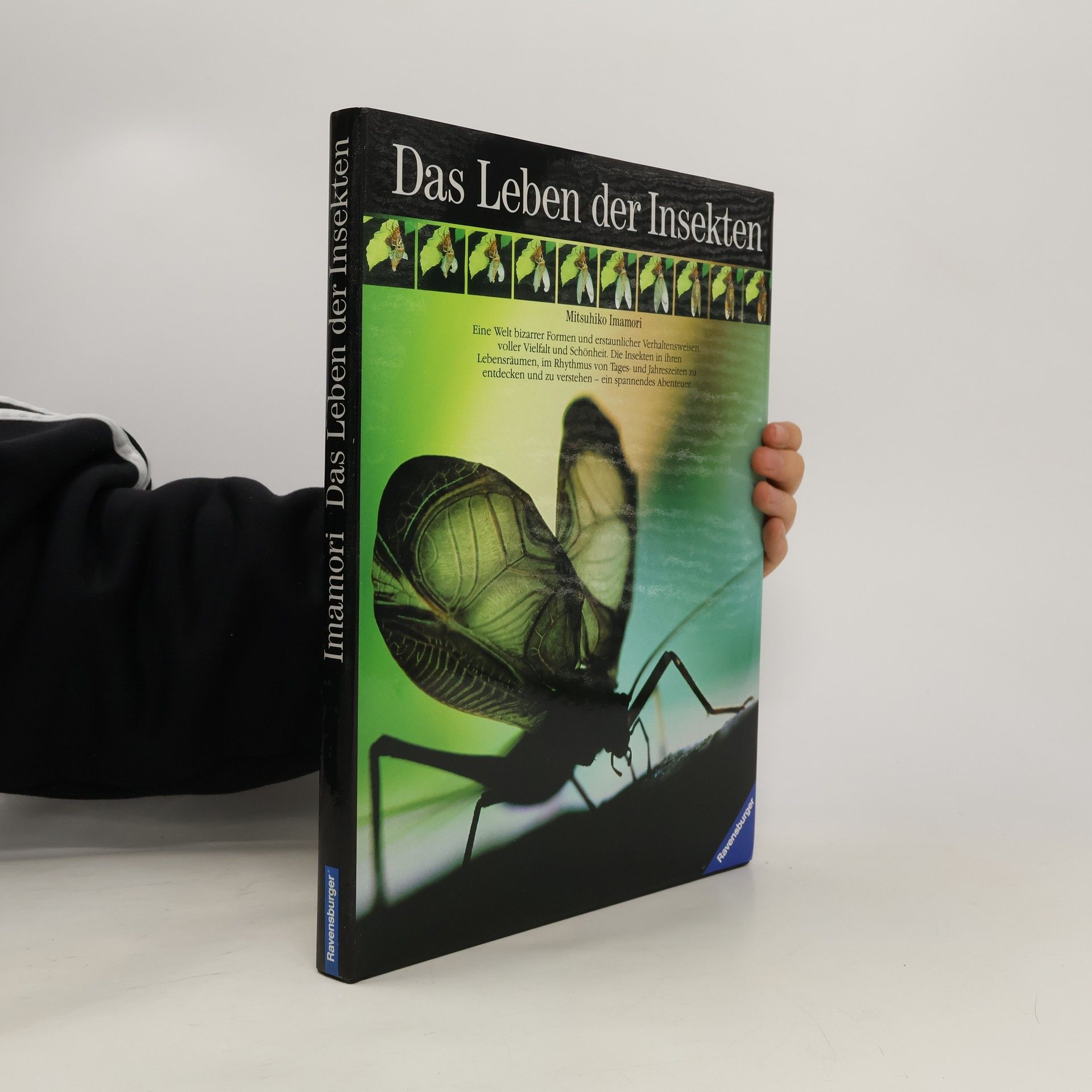 Mitsuhiko Imamori Das Leben der Insekten