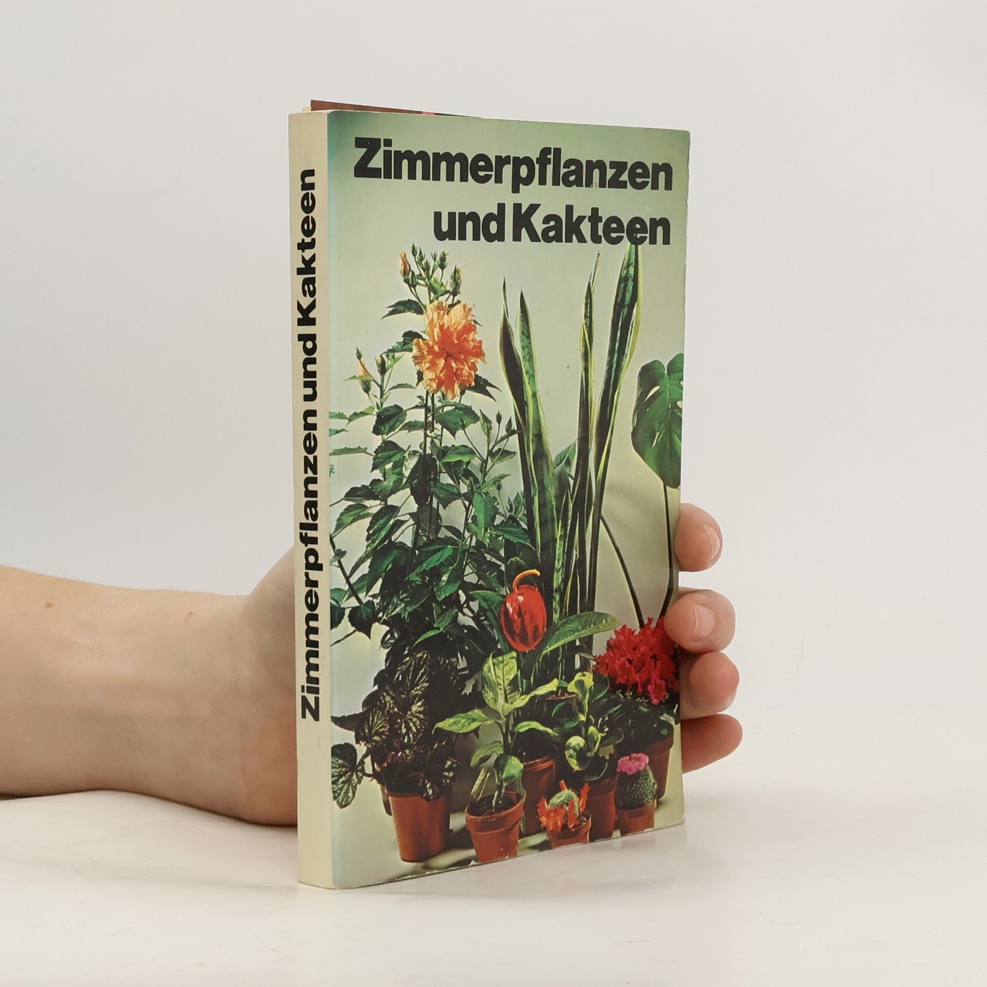 Autorenkollektiv Zimmerpflanzen und Kakteen