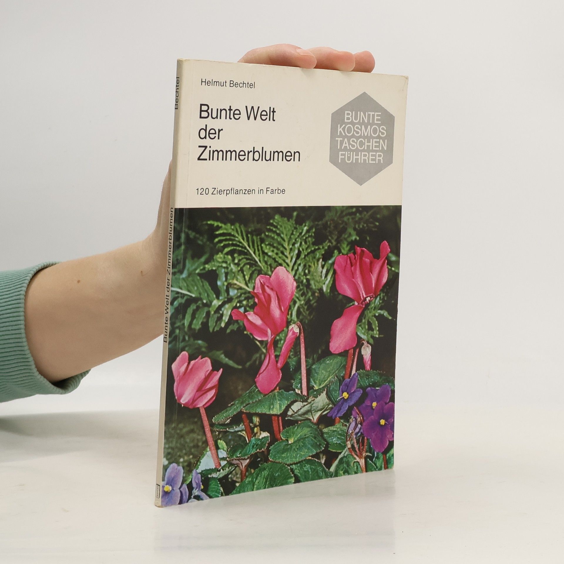 Bunte Welt der Zimmerblumen