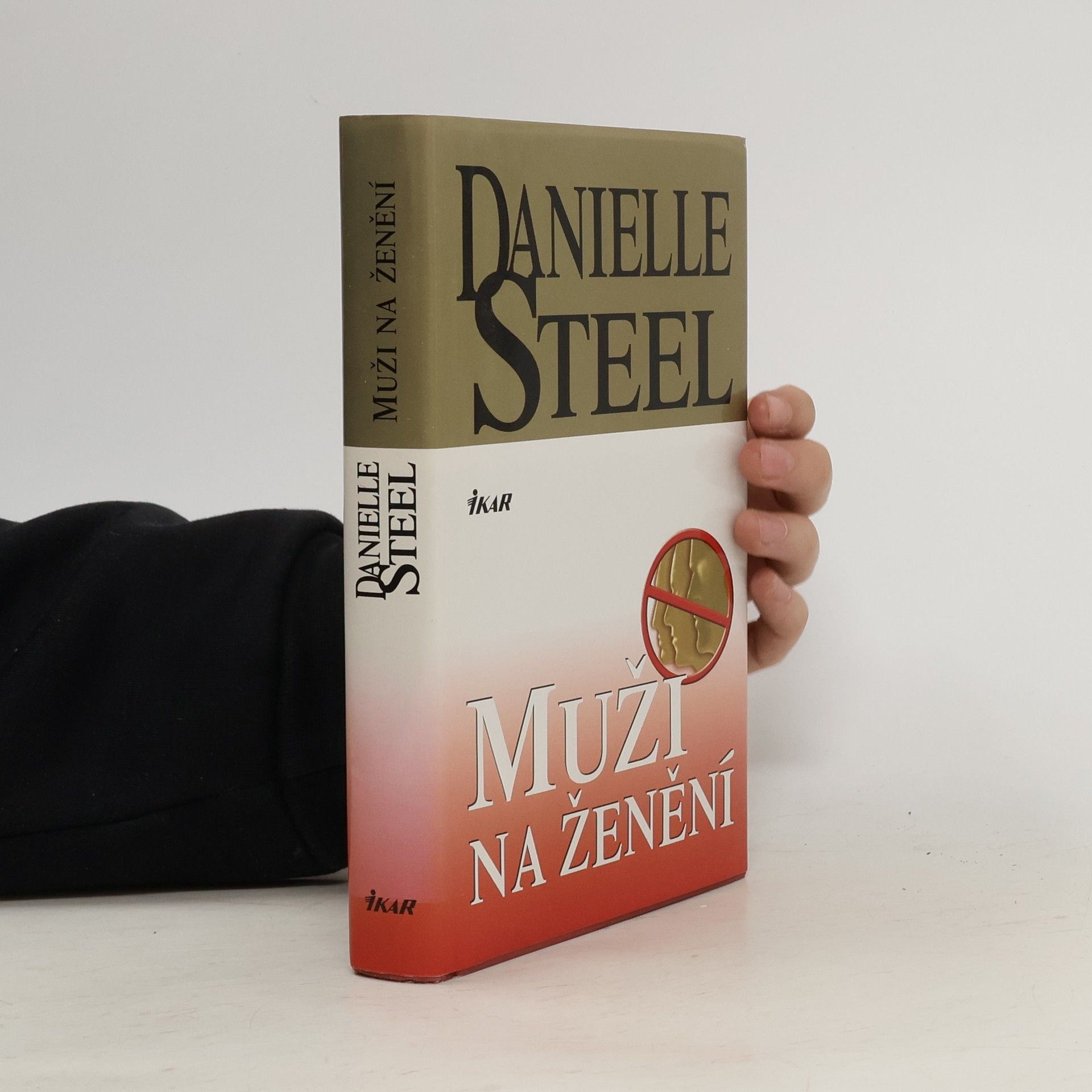 Danielle Steel Muži na ženění