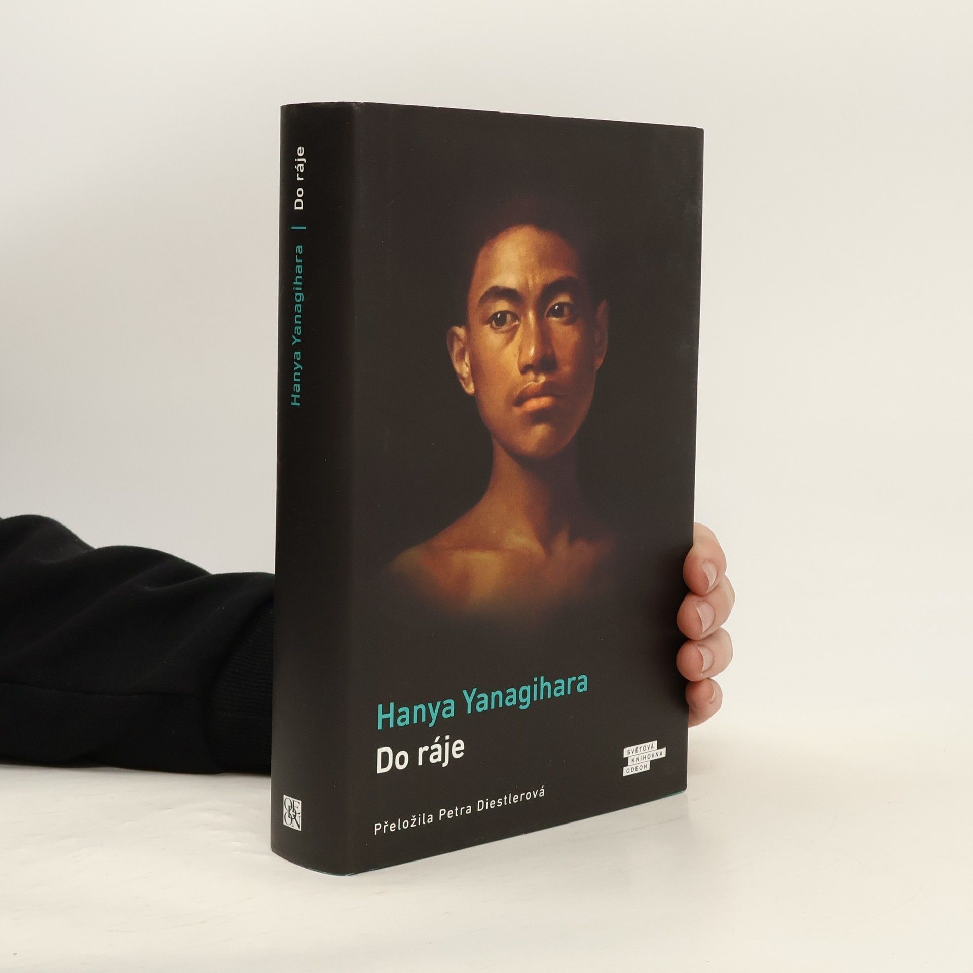 Hanya Yanagihara Do ráje