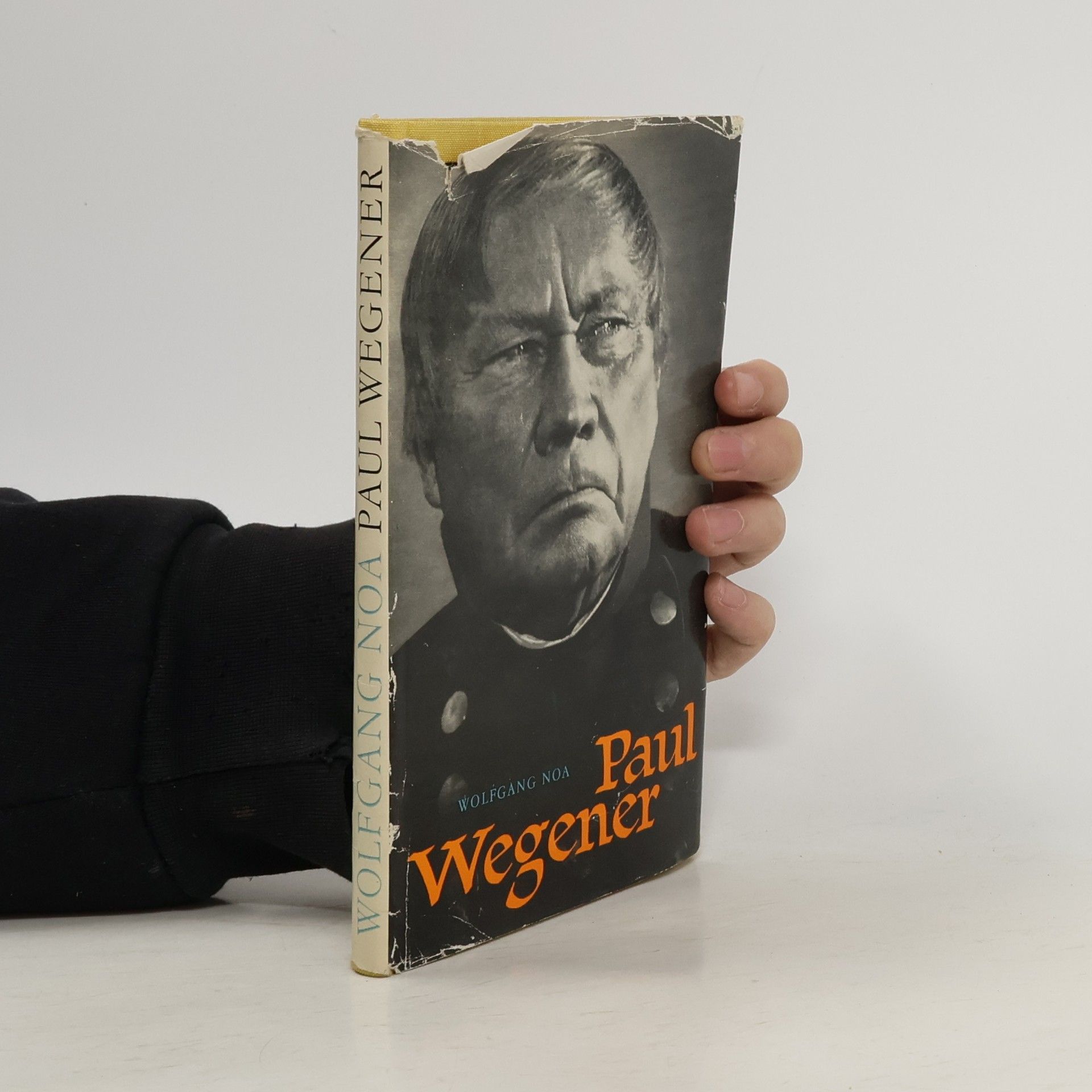 Wolfgang Noa Paul Wegener